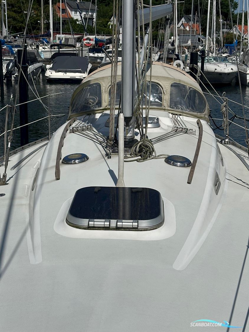 Hinrichsen 34