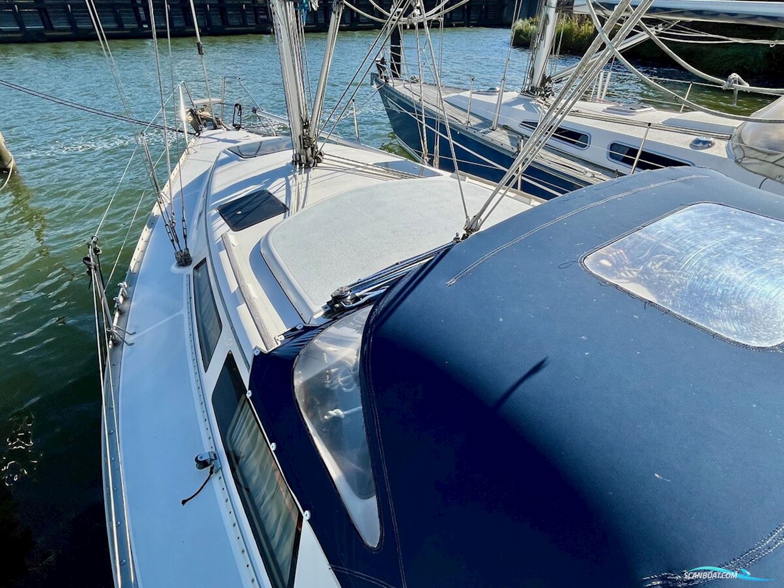 Hunter  30