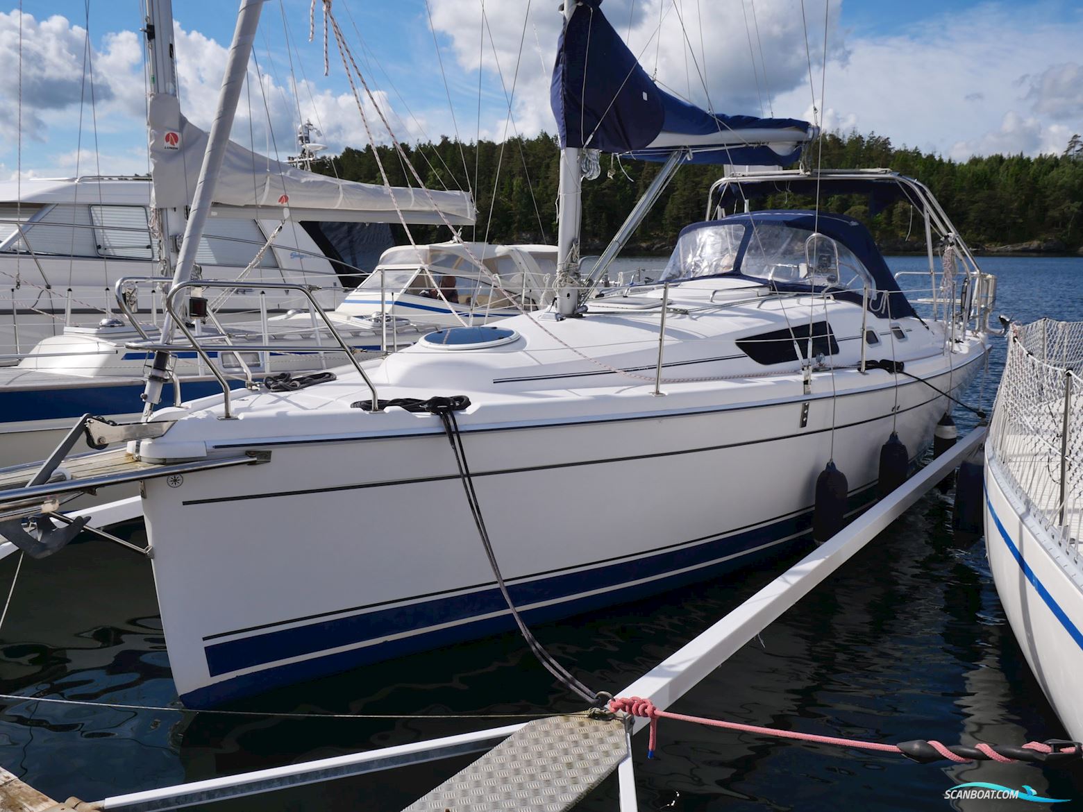 Hunter Hunter 31