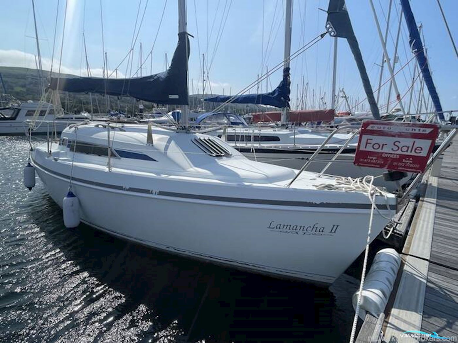Hunter Ranger 265