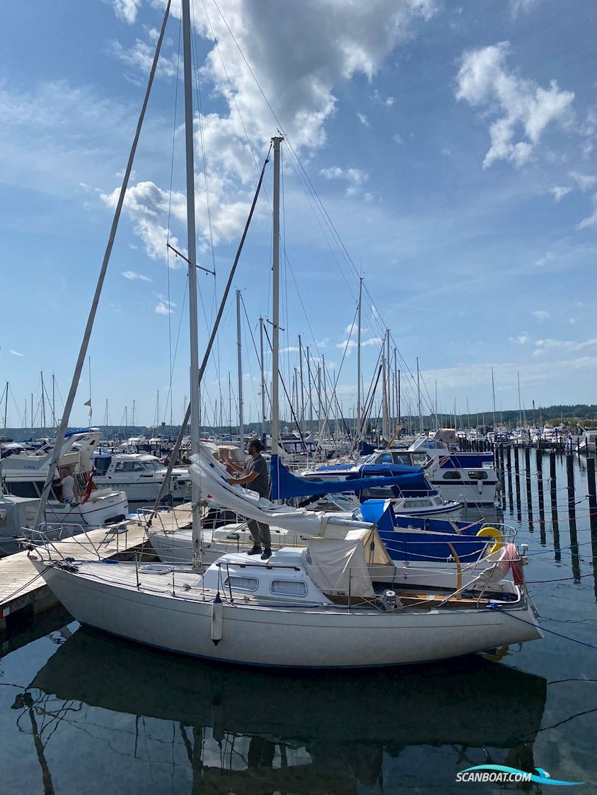 Impala 28 Segelbåt 1977, med Yanmar motor, Danmark