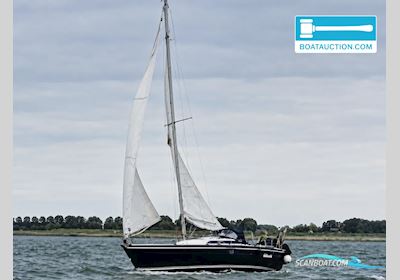 Jeanneau Aquila Segelbåt 2024, med Sole Mini motor, Belgien