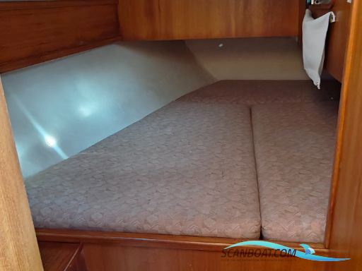 Jeanneau Sunshine Régate 38