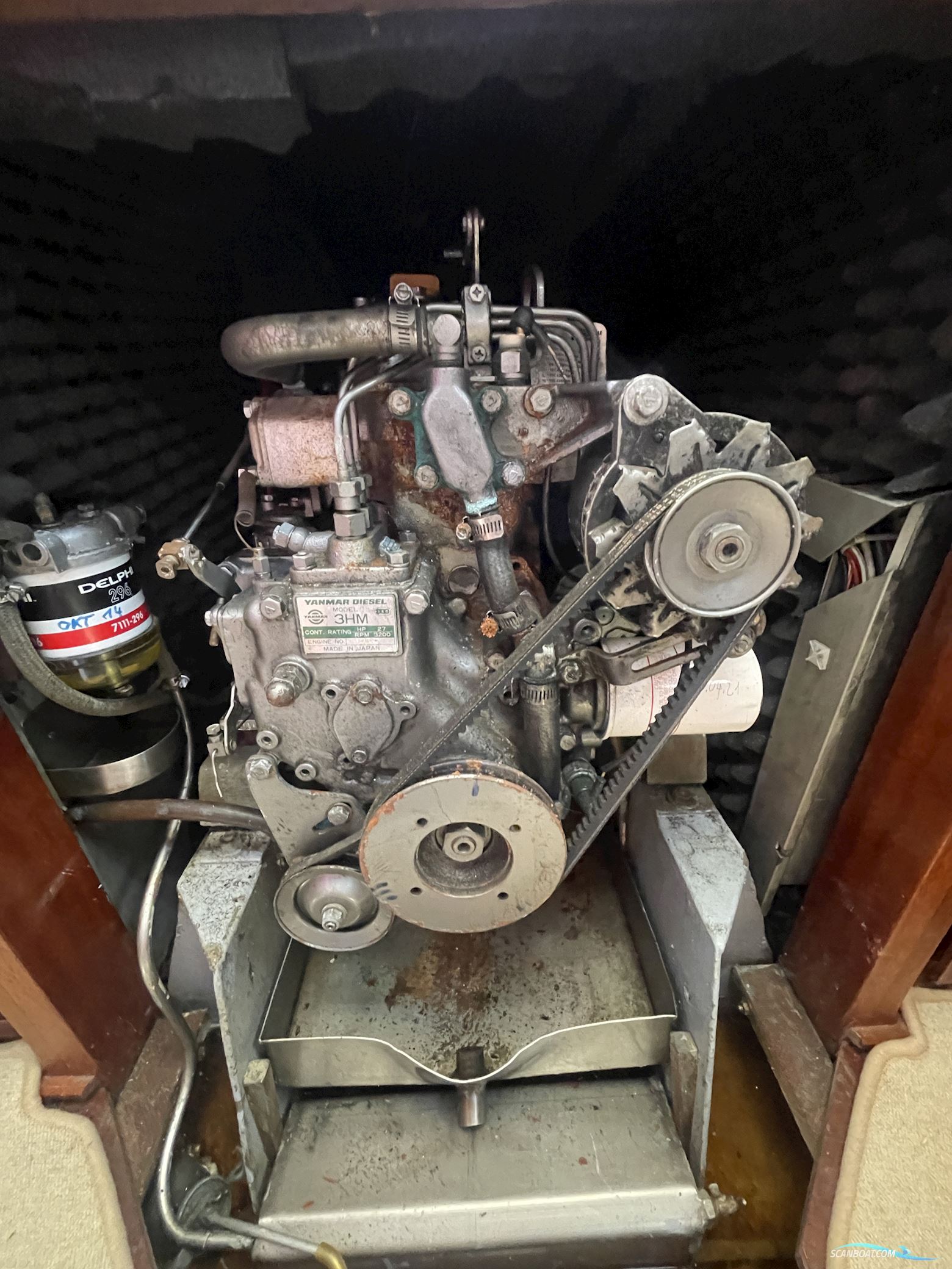 Judel Vrolijk 10,10 M