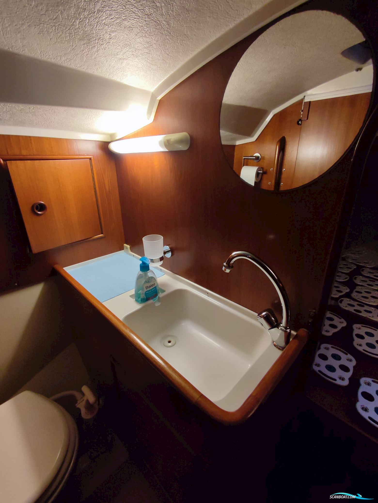 Kalik/Lewin Kalik 30