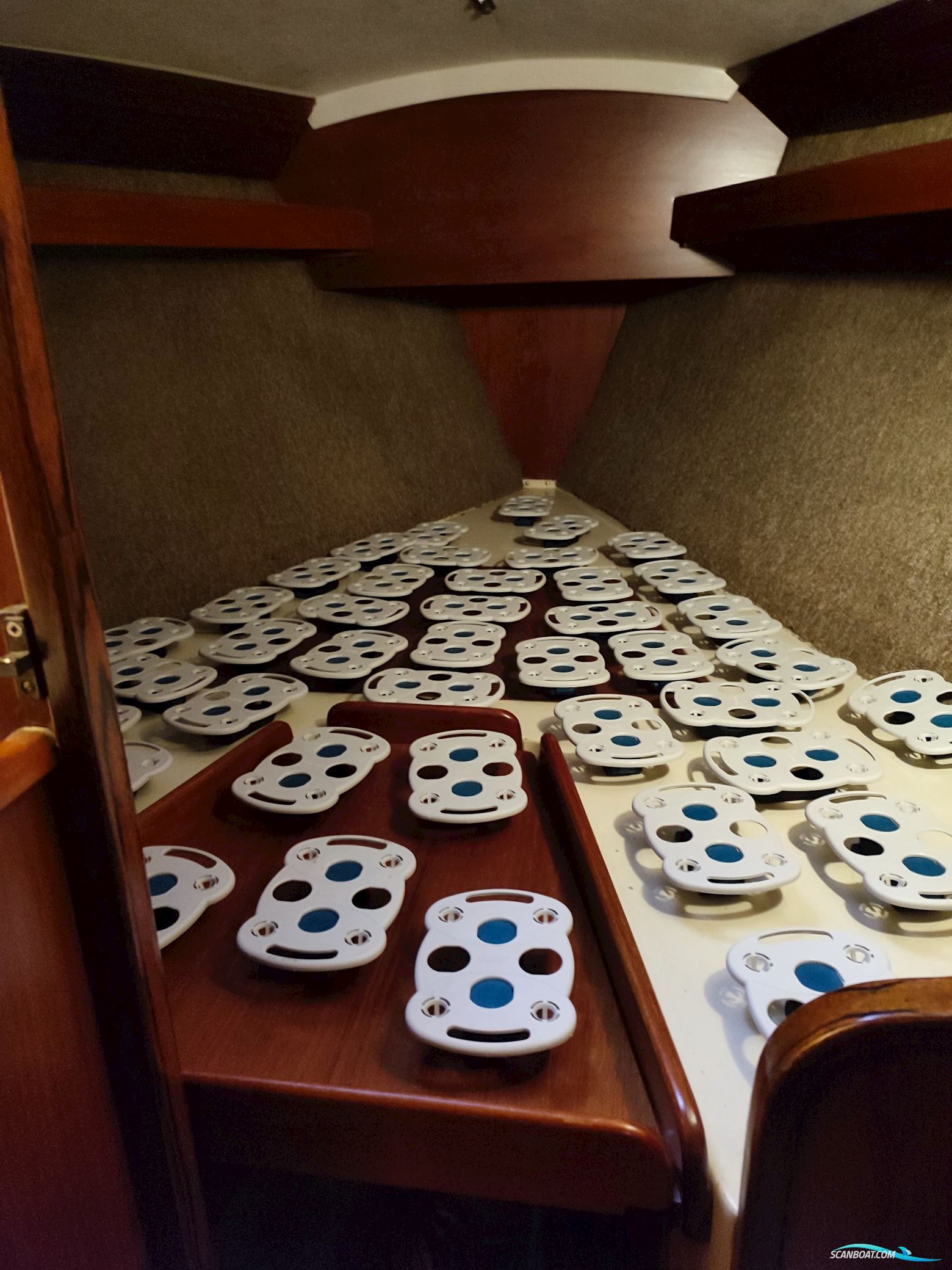 Kalik/Lewin Kalik 30