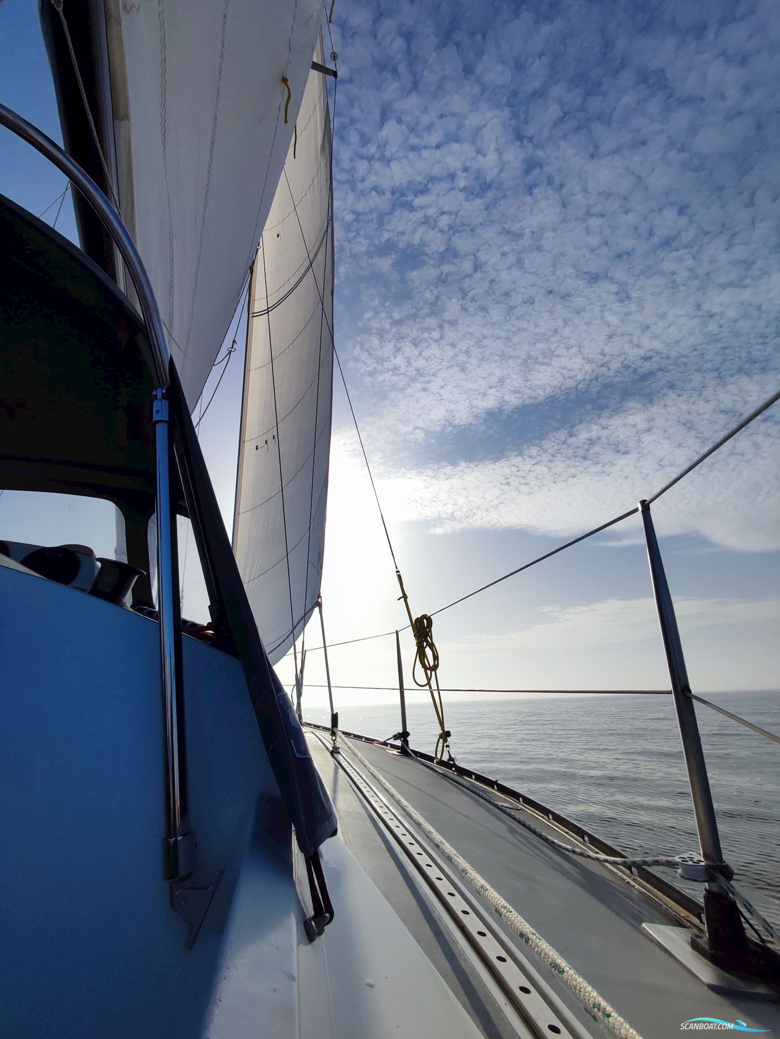 Kalik/Lewin Kalik 30