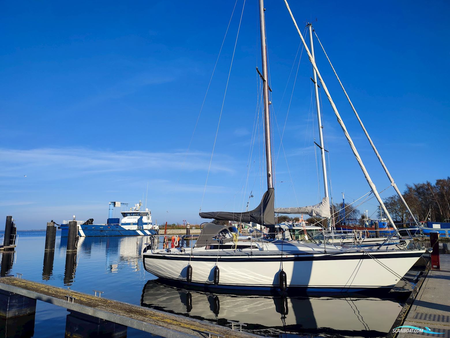 Kalik/Lewin Kalik 30