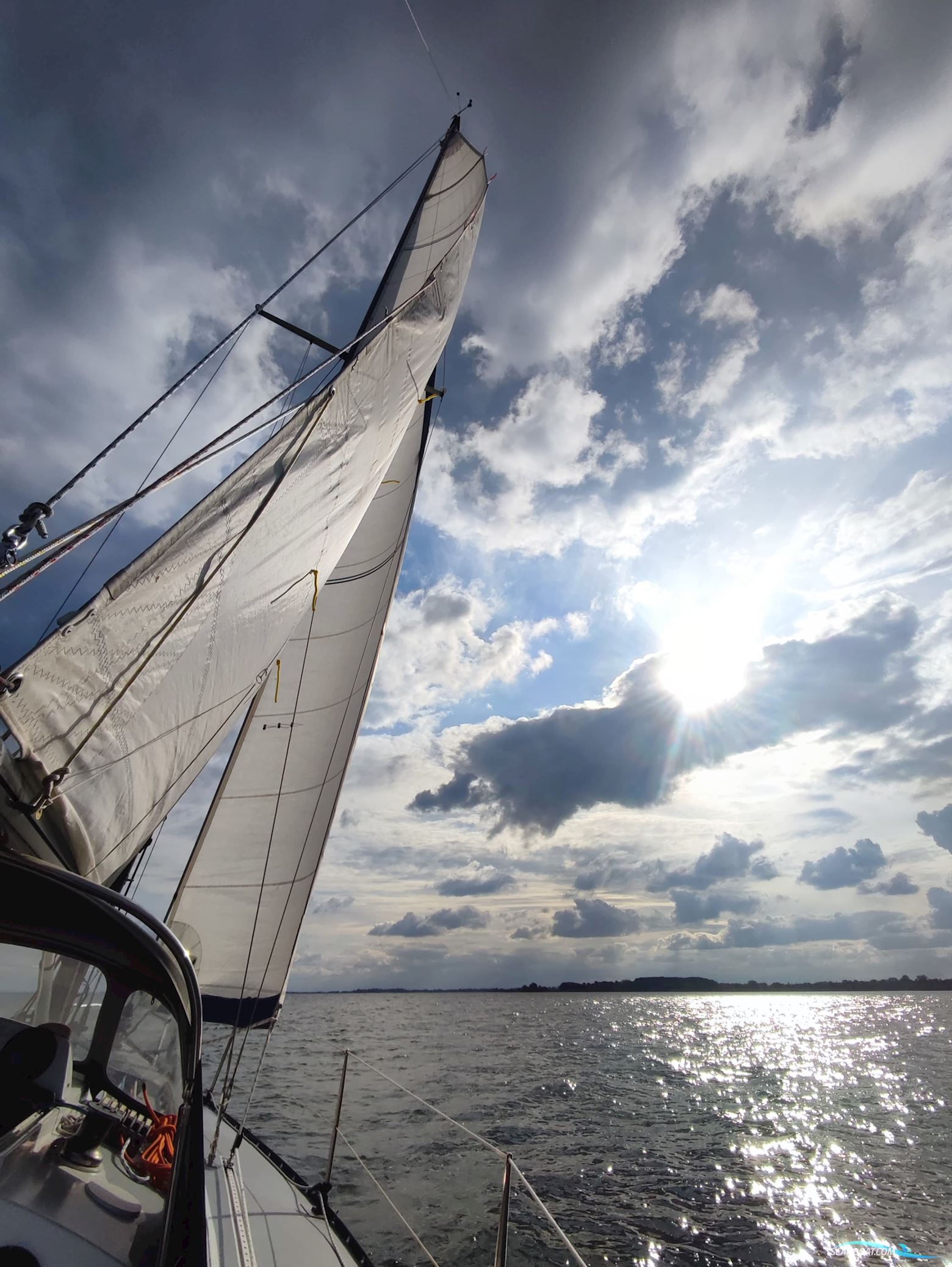 Kalik/Lewin Kalik 30