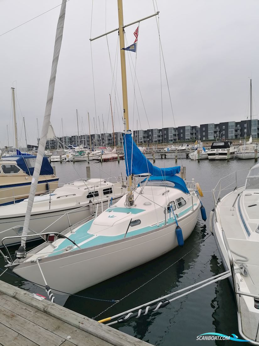 Kings Cruiser 29 Bud Ønskes Segelbåt 1973, med Volvo Penta D1-20 MS10L motor, Danmark