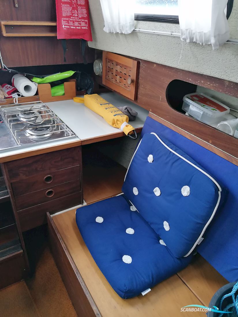 Kings Cruiser 29 Bud Ønskes