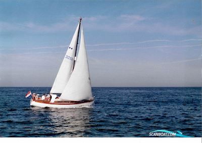 Koopmans 31 Segelbåt 1984, med Status Marine motor, Holland