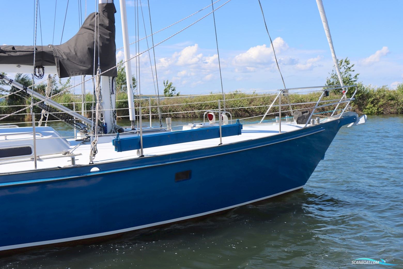 Koopmans 39