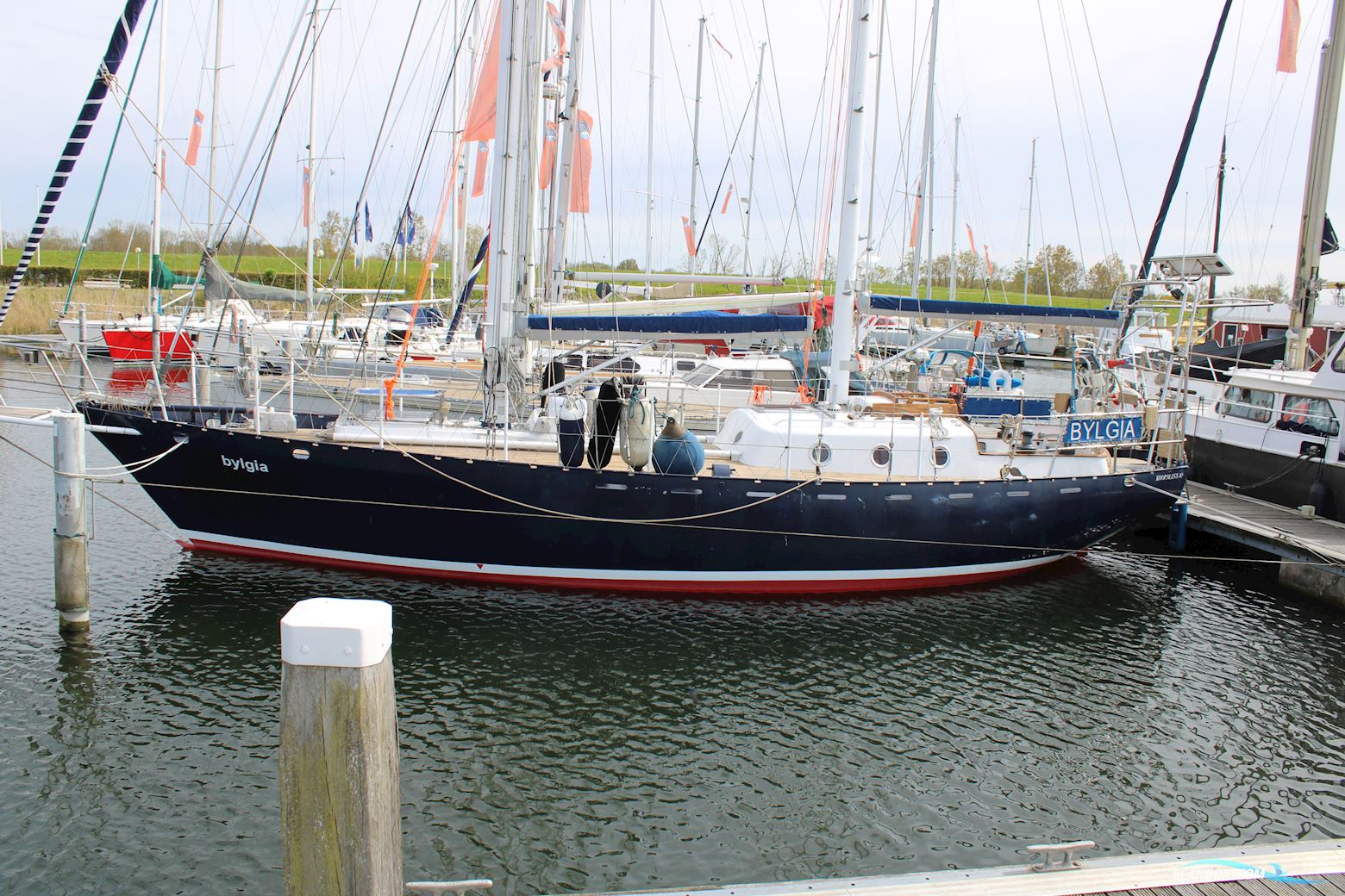 Koopmans 40