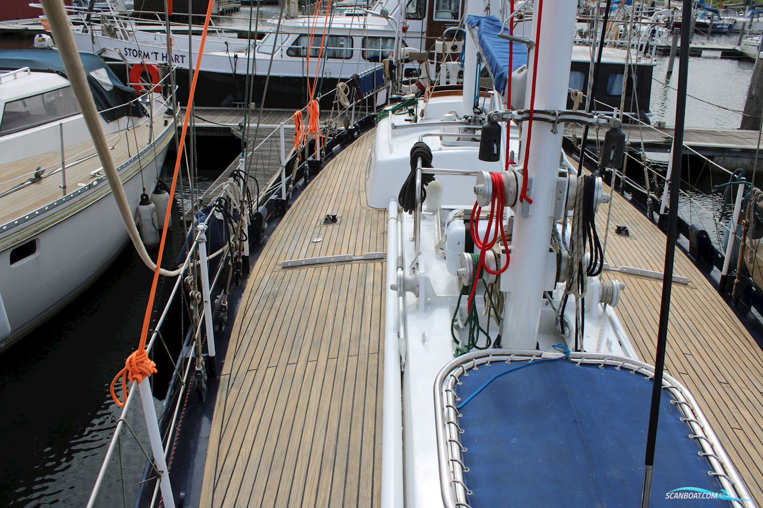 Koopmans 40