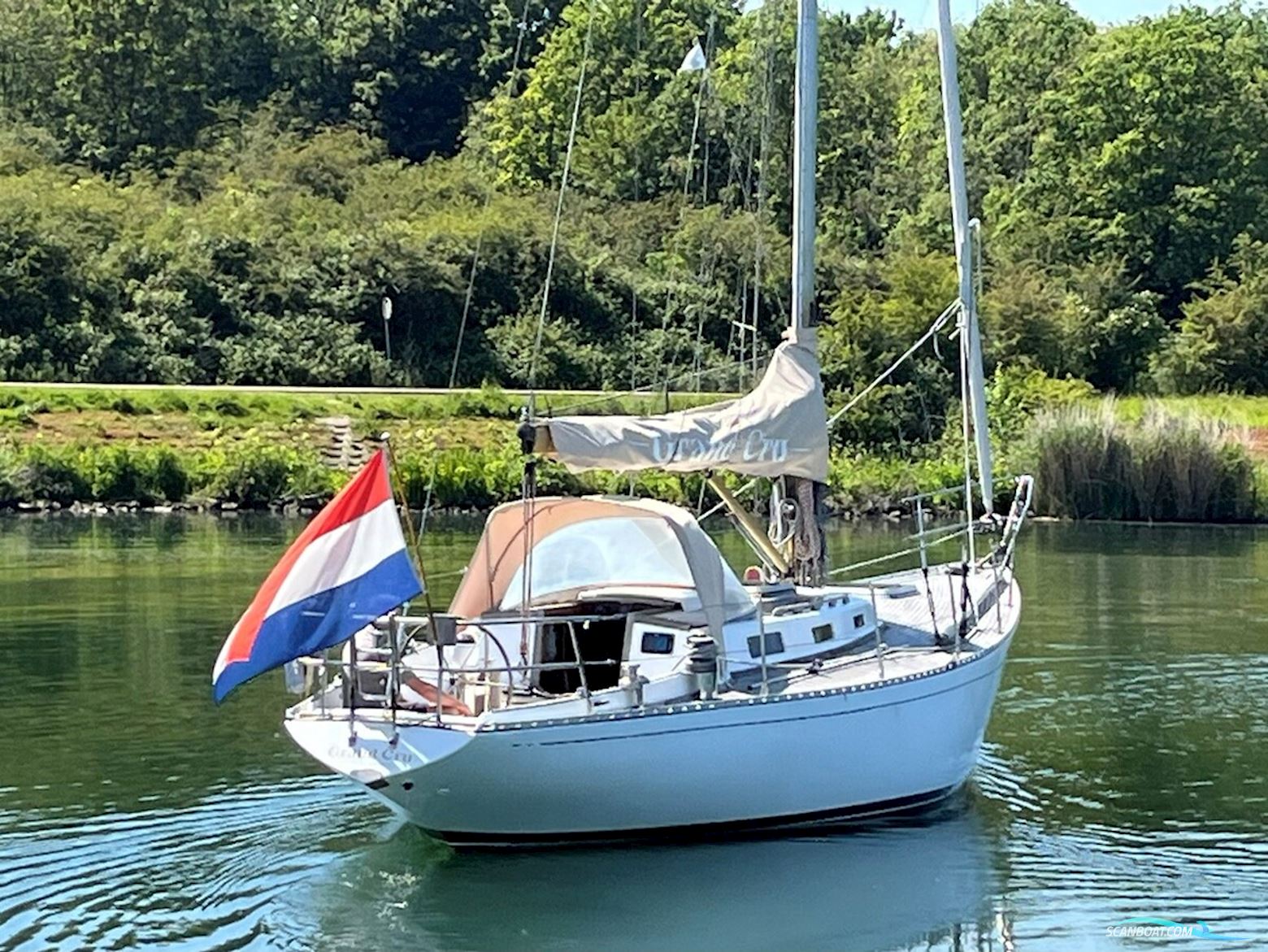 Le Comte Alc 40 S&S