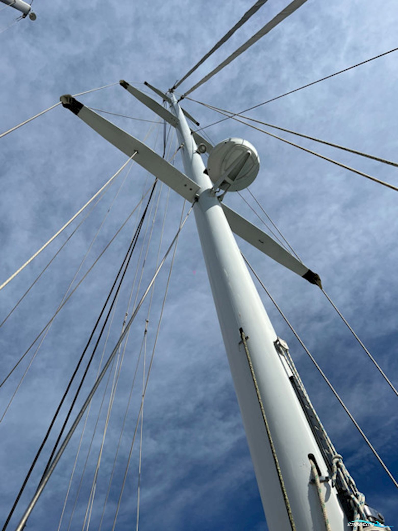 LEGUEN-HEMIDY LEVRIER DES MERS 16