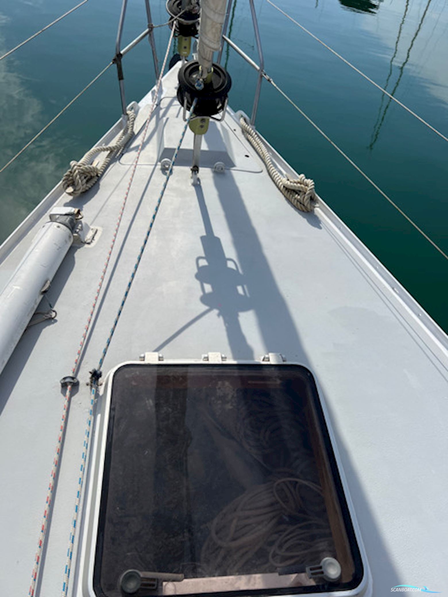 Leguen-Hemidy Levrier Des Mers 16