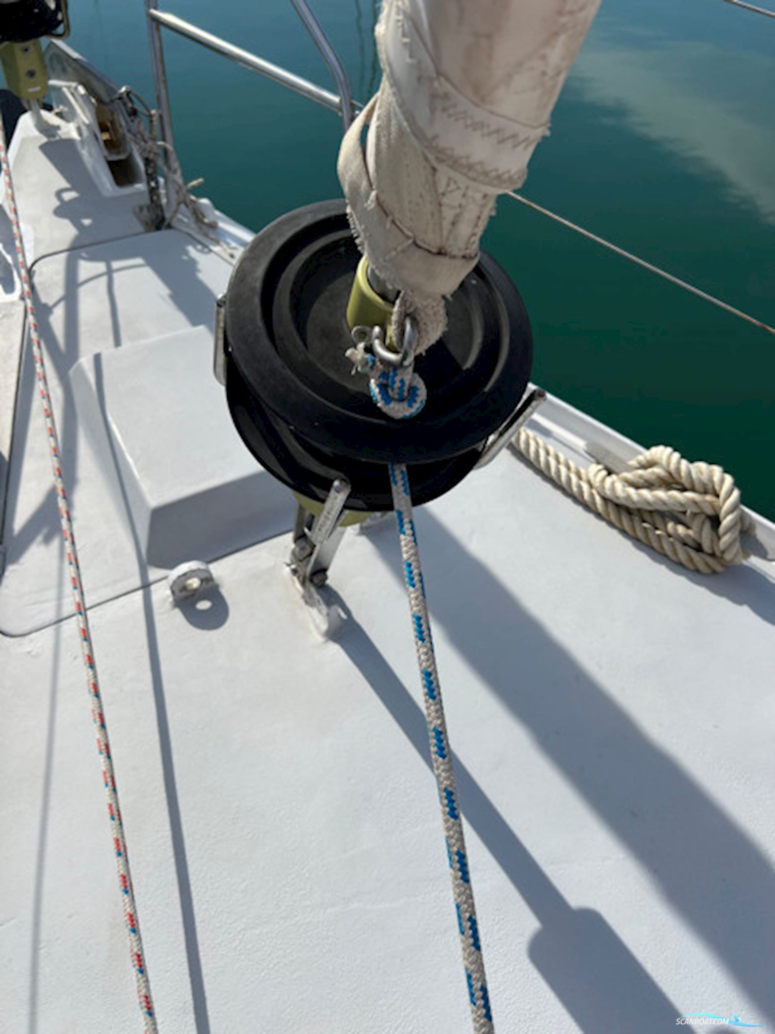 Leguen-Hemidy Levrier Des Mers 16