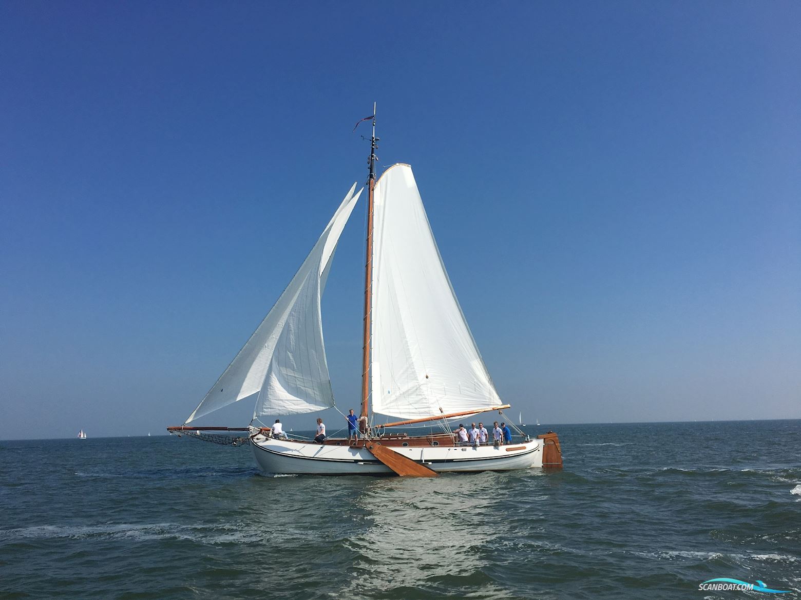 Lemsteraak Argonaut - Blom Roefaak