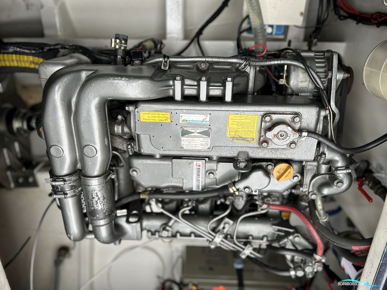 Lemsteraak Beluga Roefuitvoering Jachtuitvoering