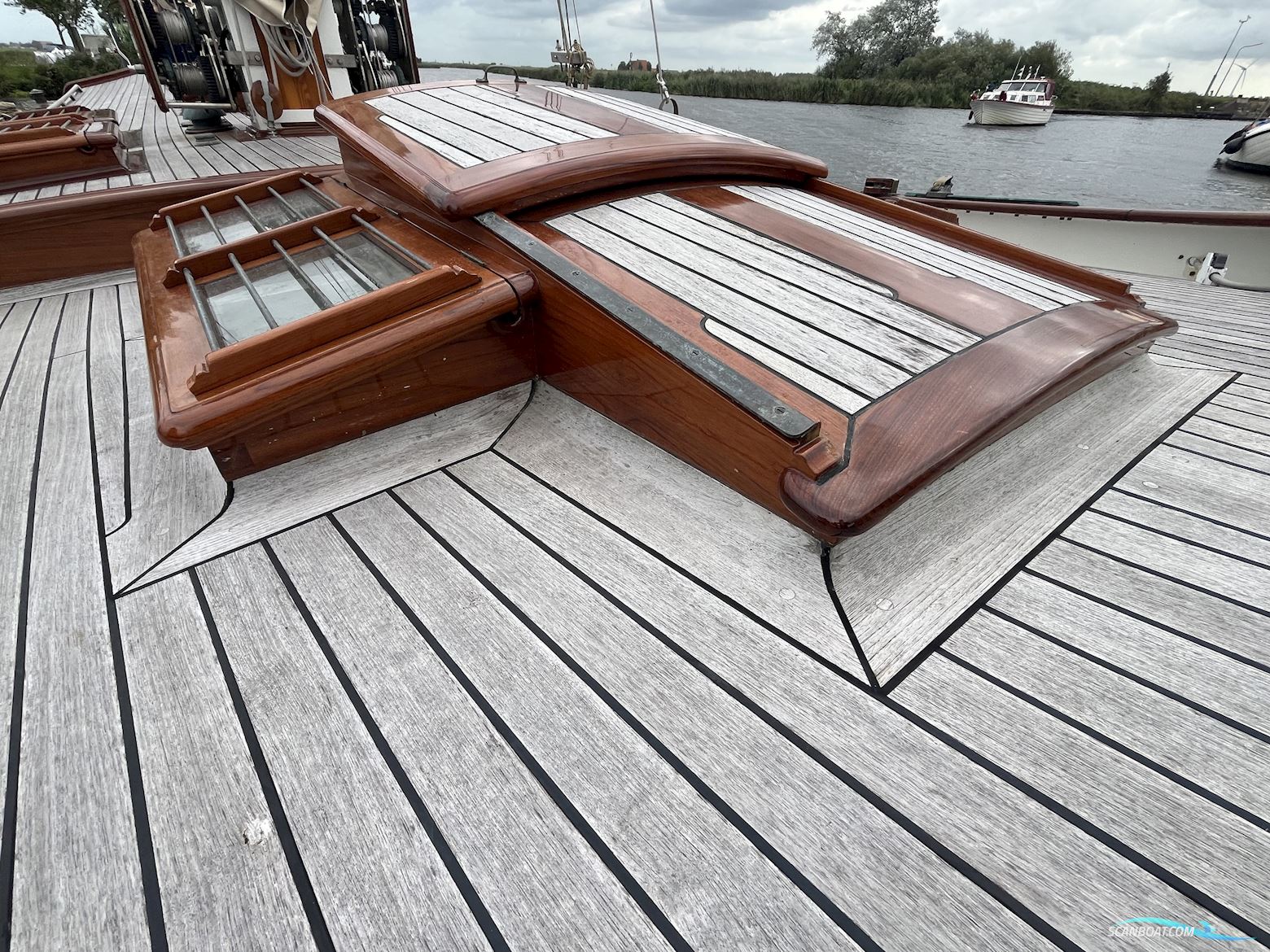 Lemsteraak Gouden Leeuw - Roefaak Hoek Design