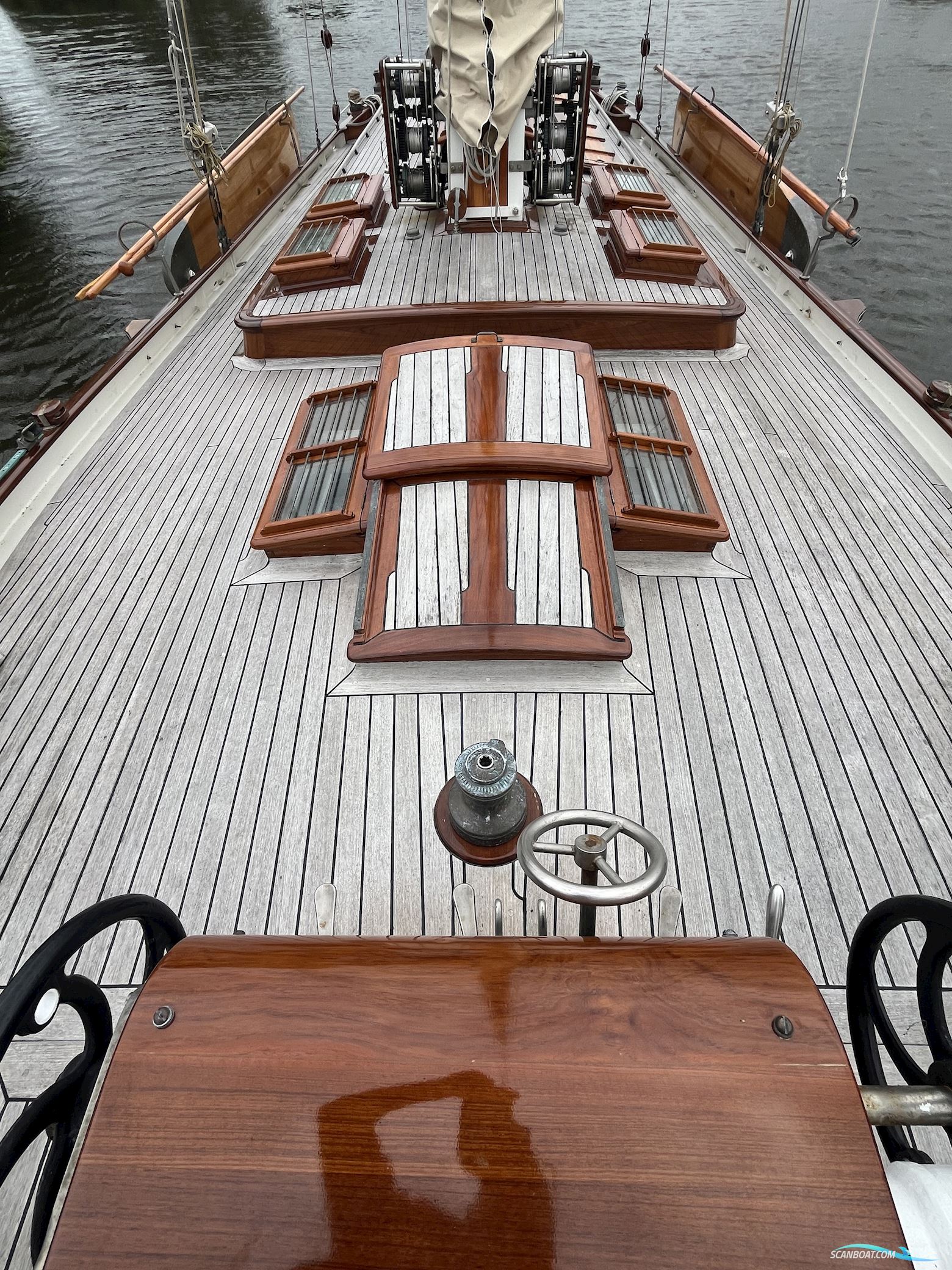 Lemsteraak Gouden Leeuw - Roefaak Hoek Design