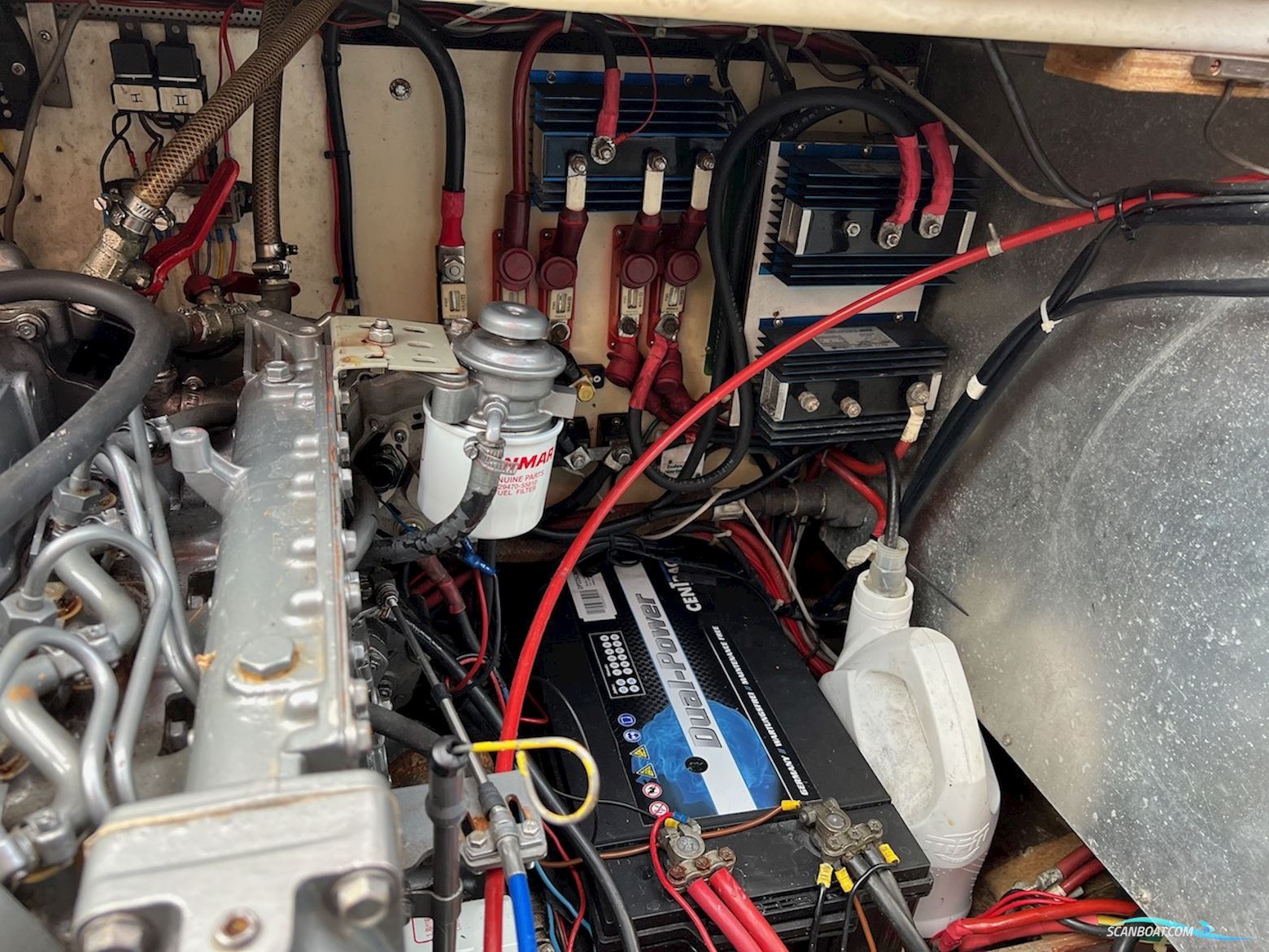 Lemsteraak Jonge Jan - Roefaak