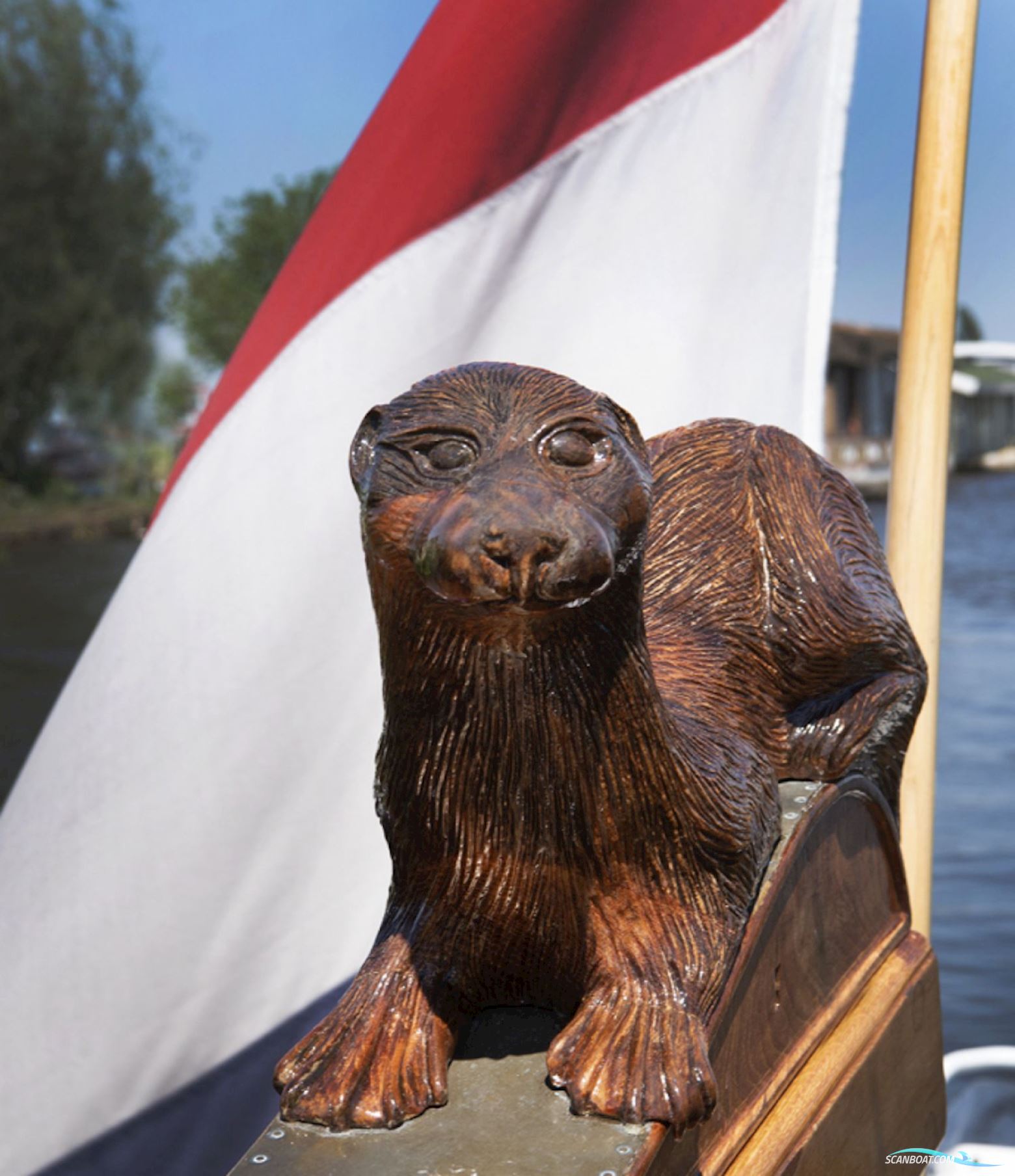 Lemsteraak Roefaak - Otter