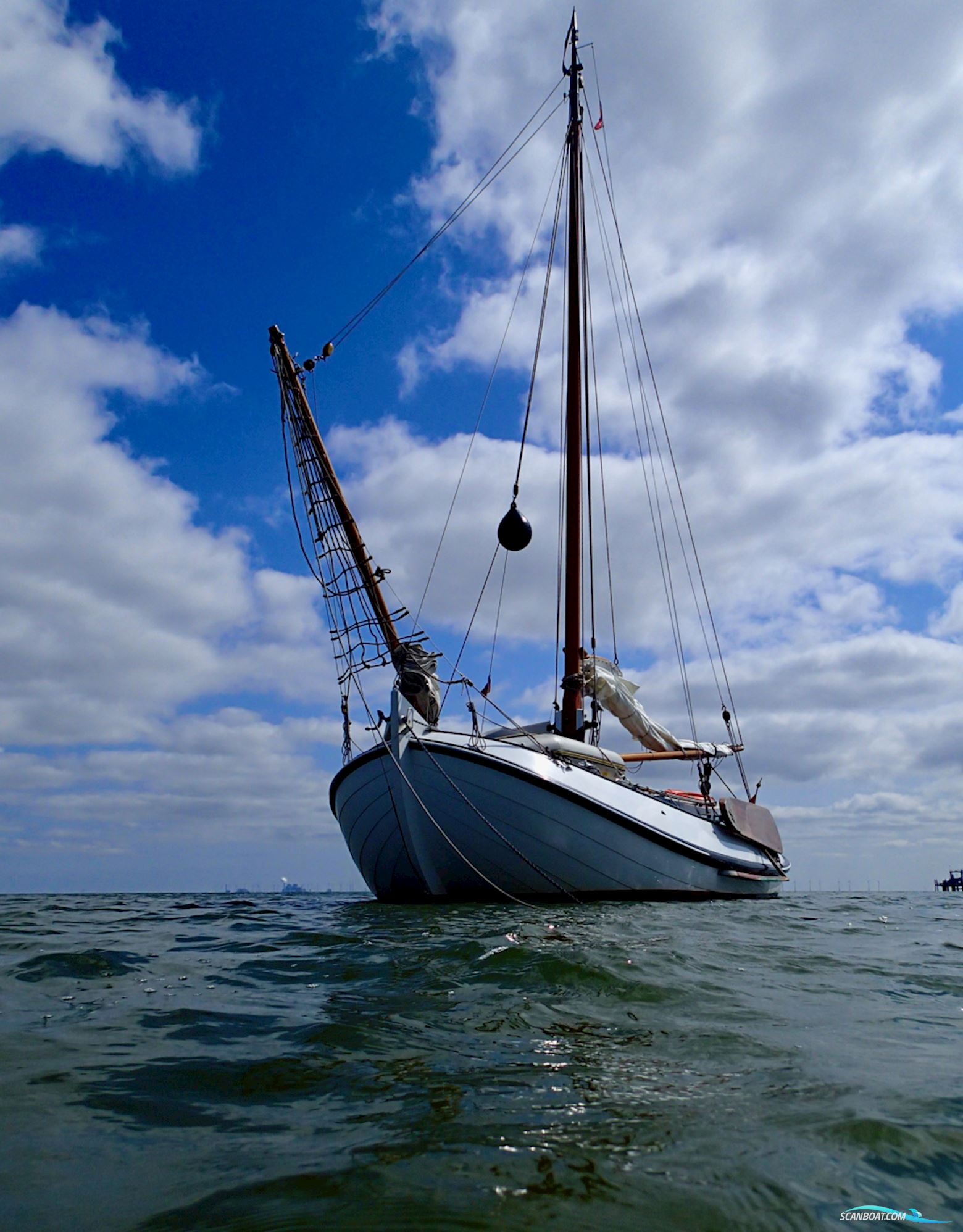 Lemsteraak Roefmodel 1010 - Dolfijn