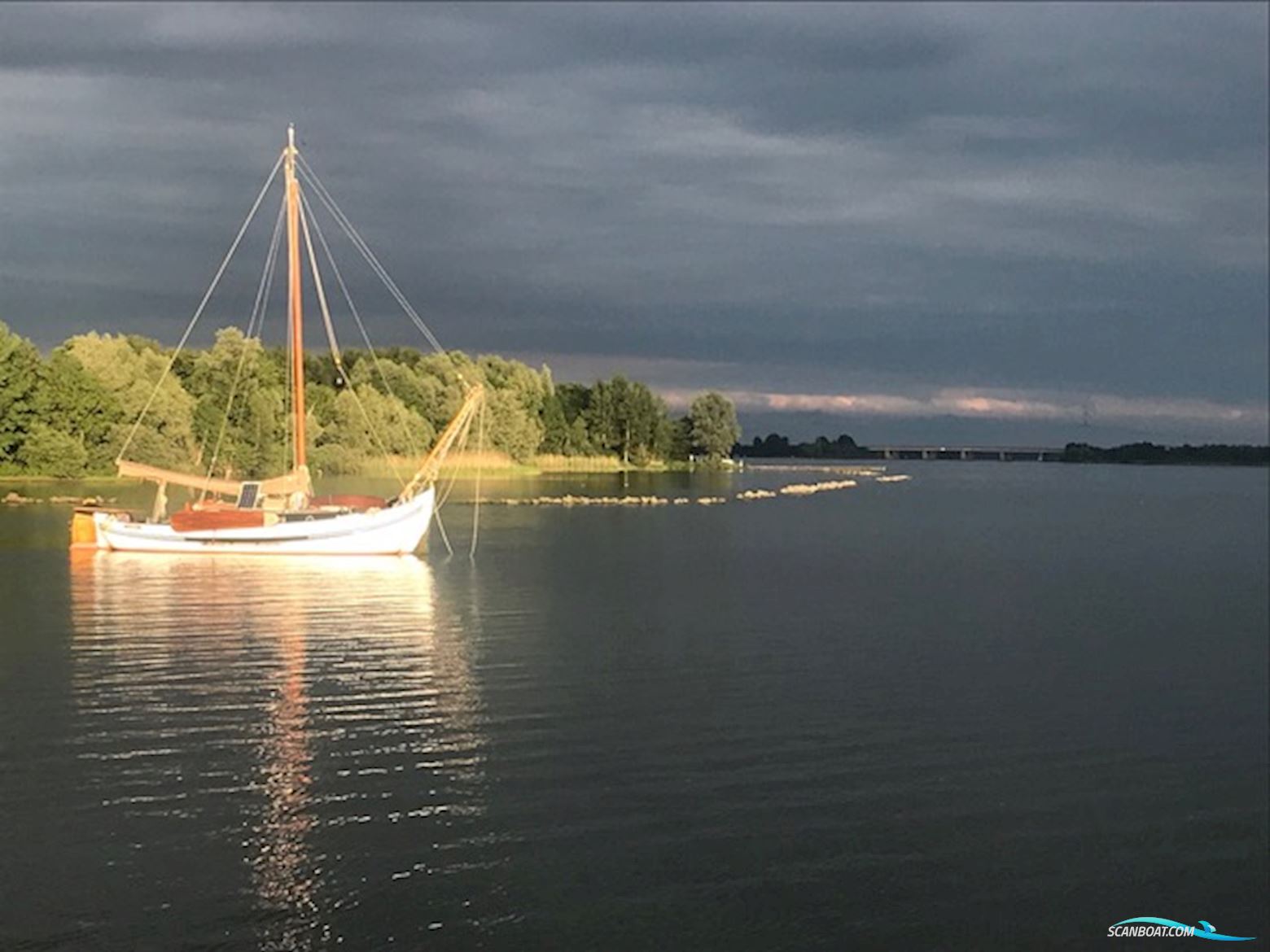 Lemsteraak Roefmodel 1010 - Dolfijn