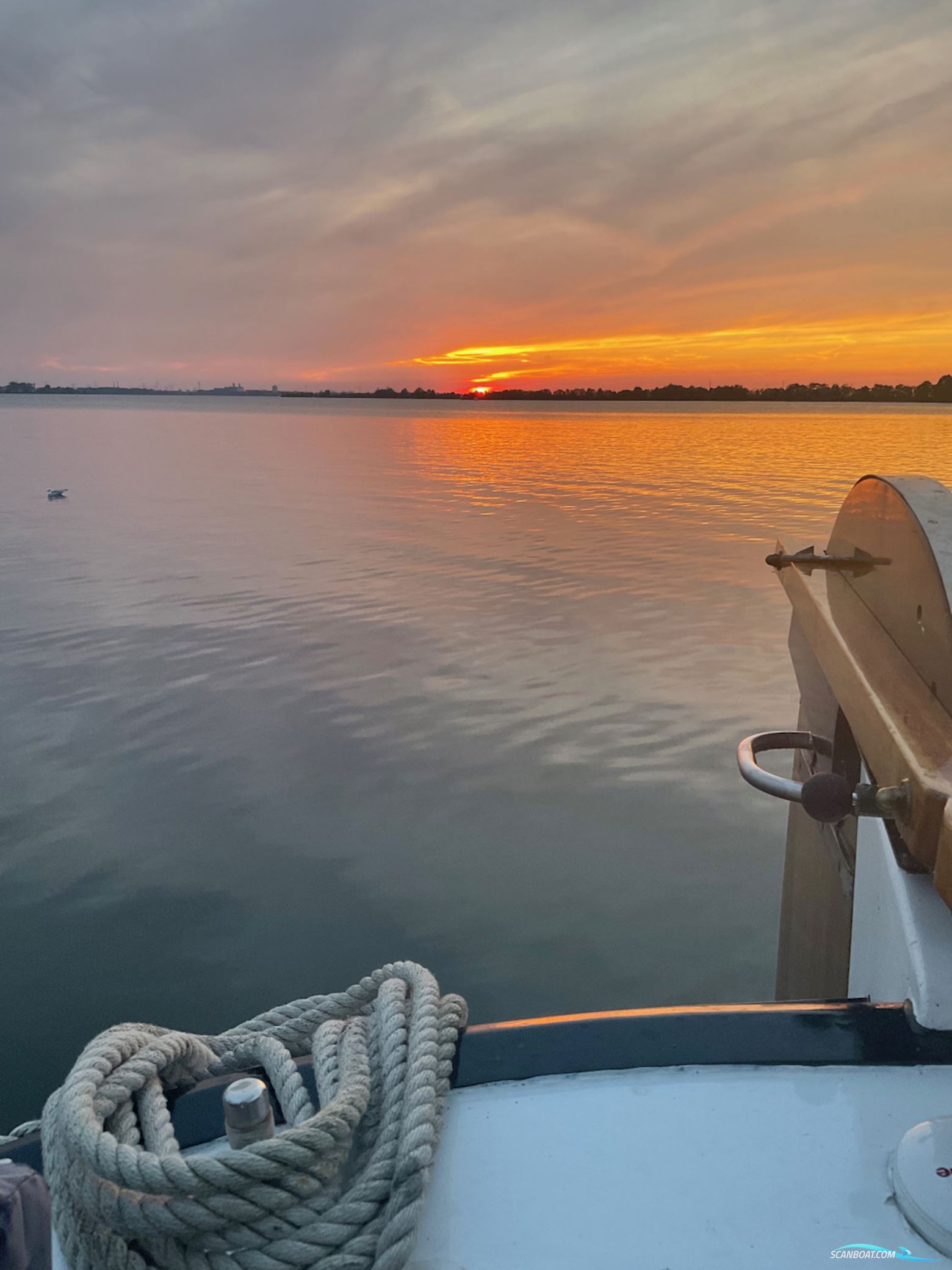 Lemsteraak Roefmodel 1010 - Dolfijn
