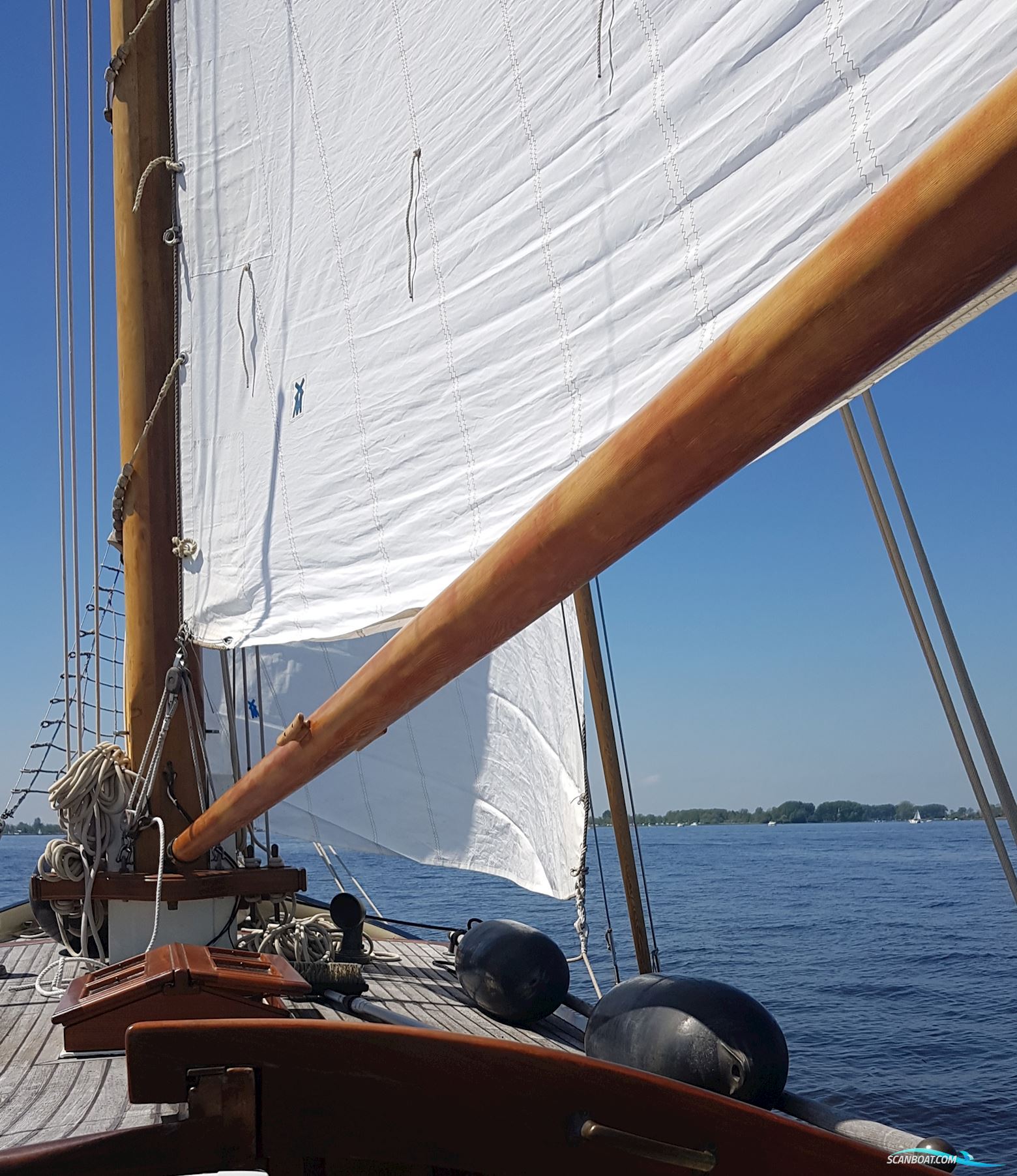 Lemsteraak Walrus - Roefuitvoering