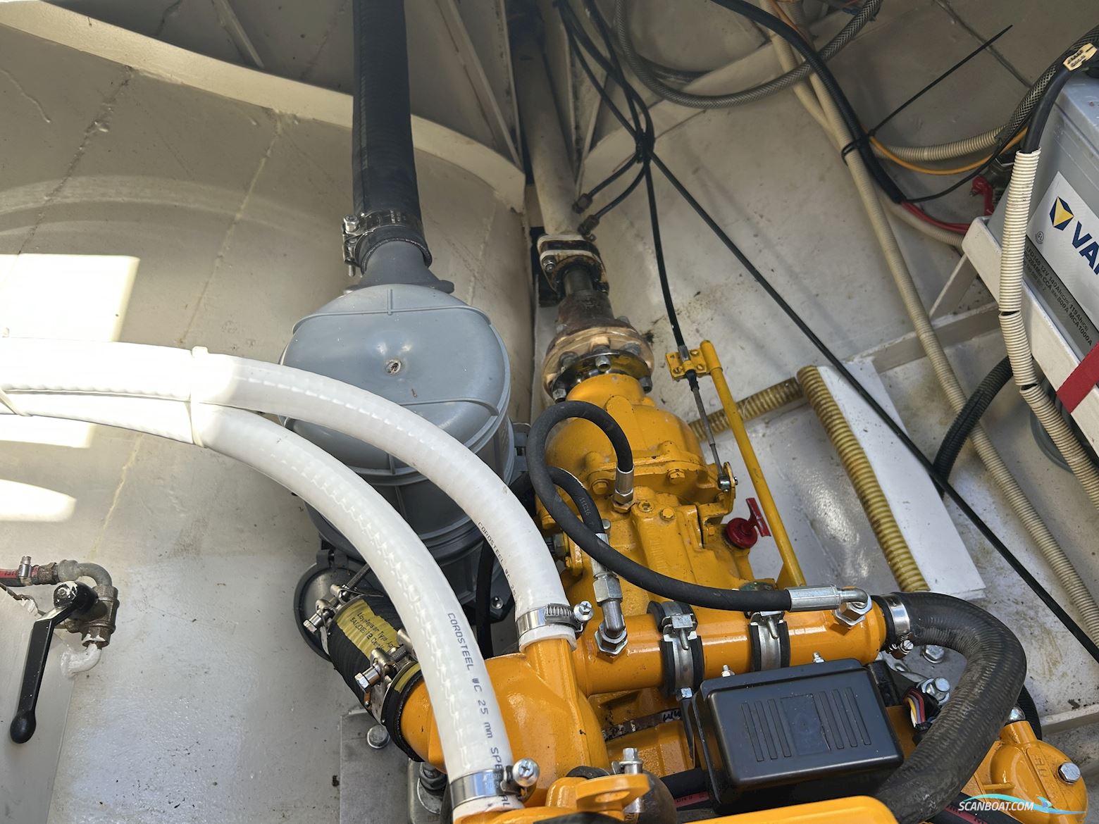 Lemsteraak Walrus - Roefuitvoering