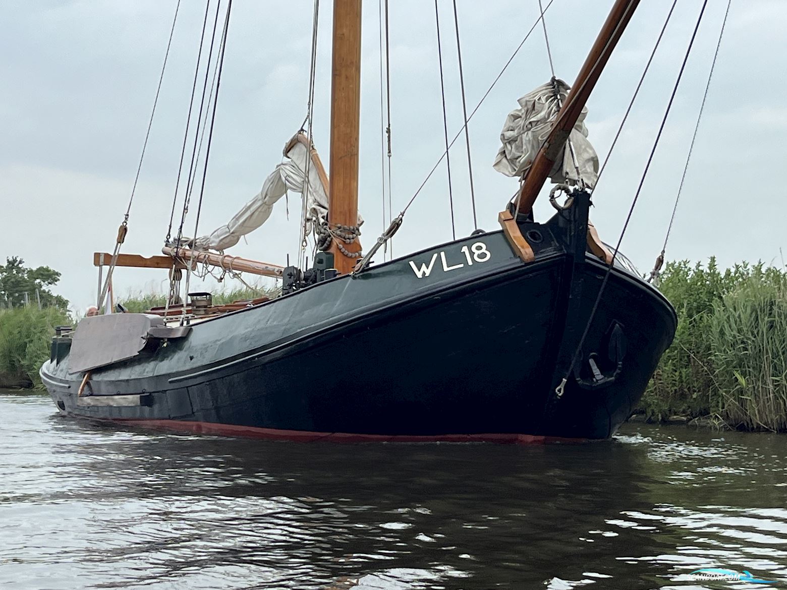 Lemsteraak WL 18 Fasant - Roefuitvoering Jachtuitvoering