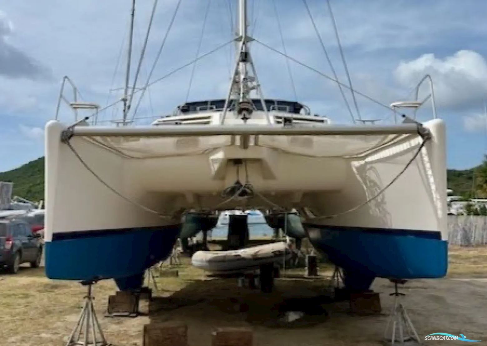 Leopard 38