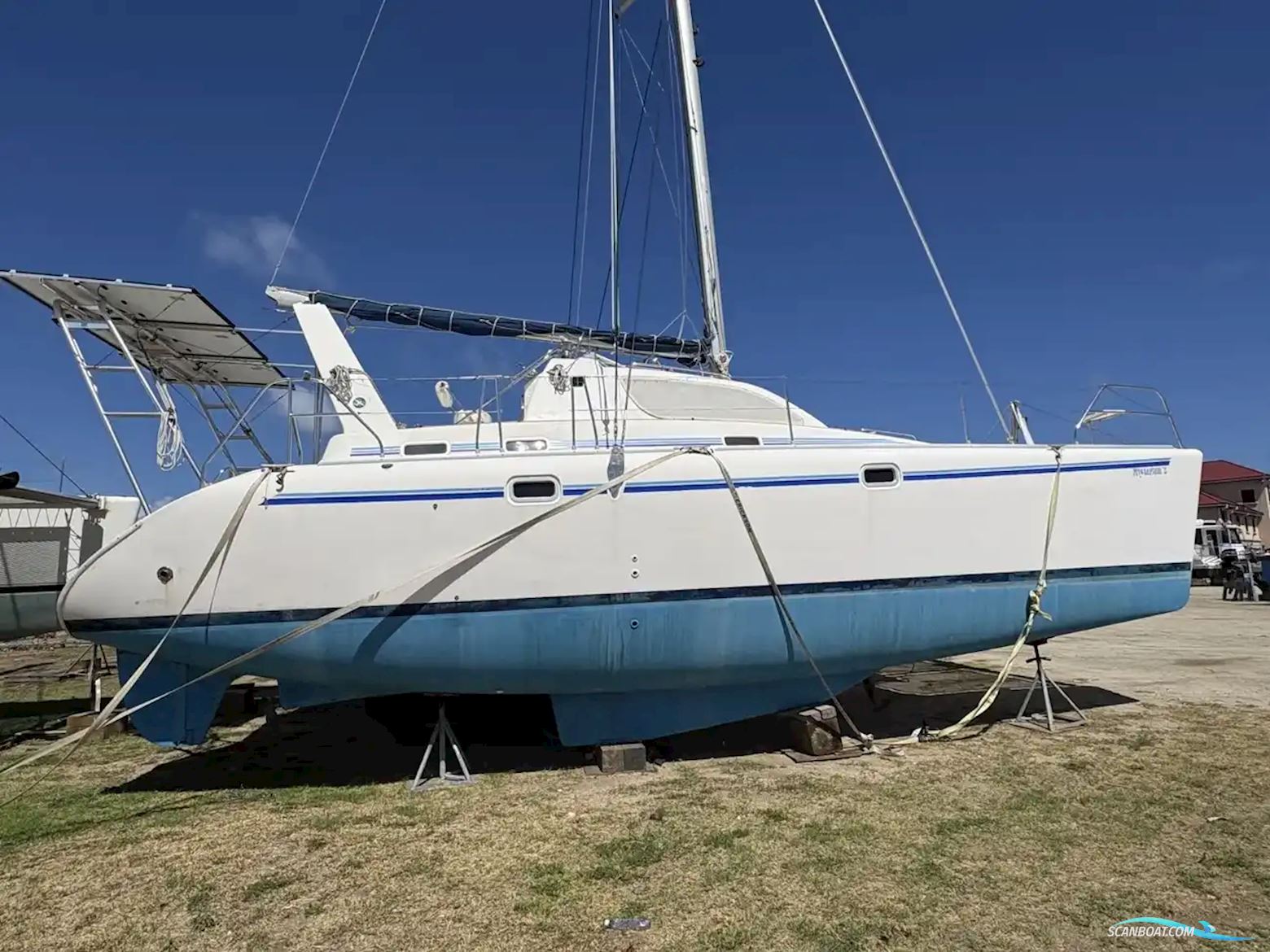 Leopard 38