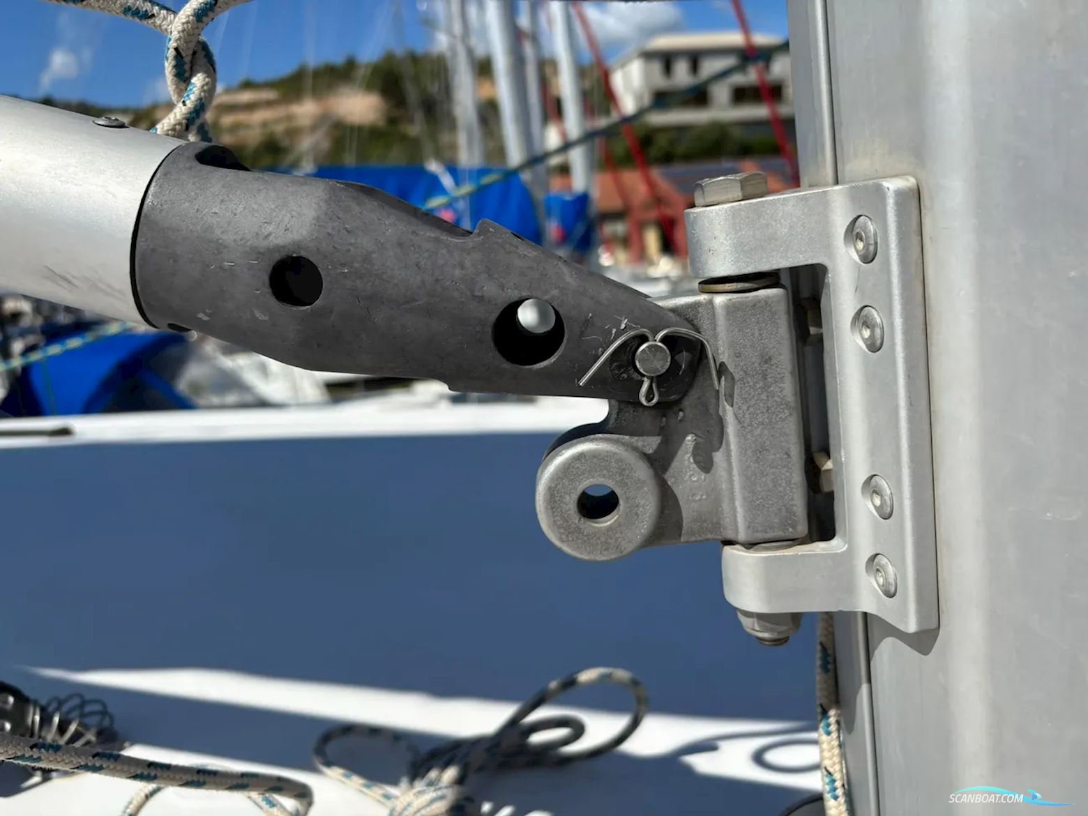 Leopard 40