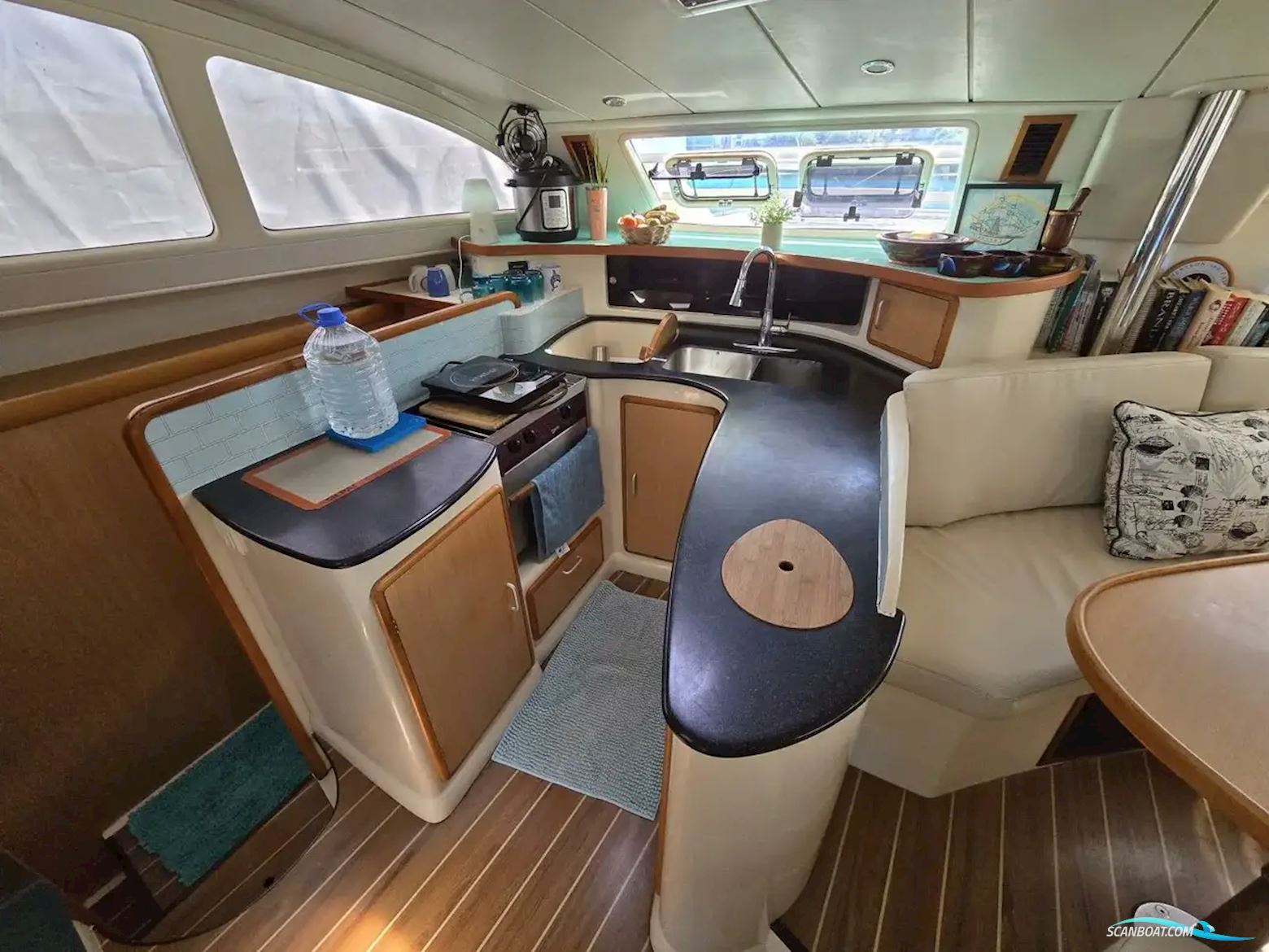 Leopard 43