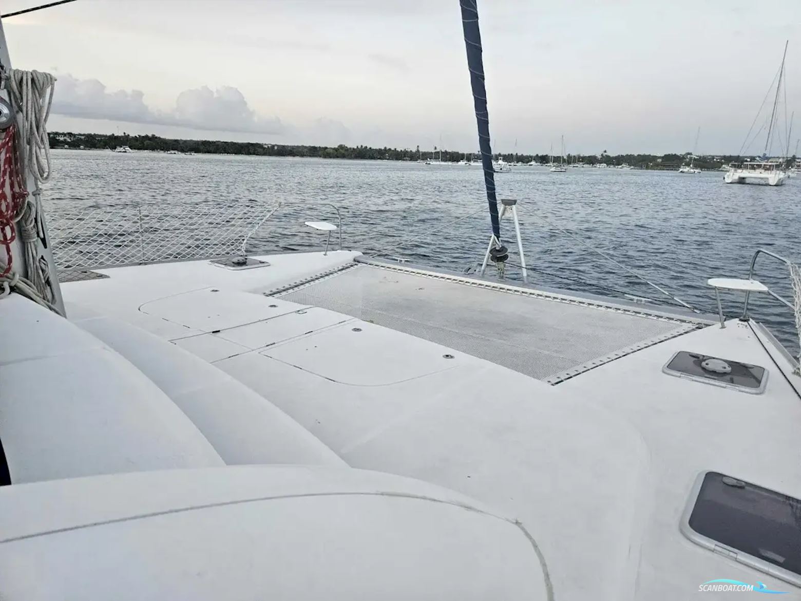 Leopard 46