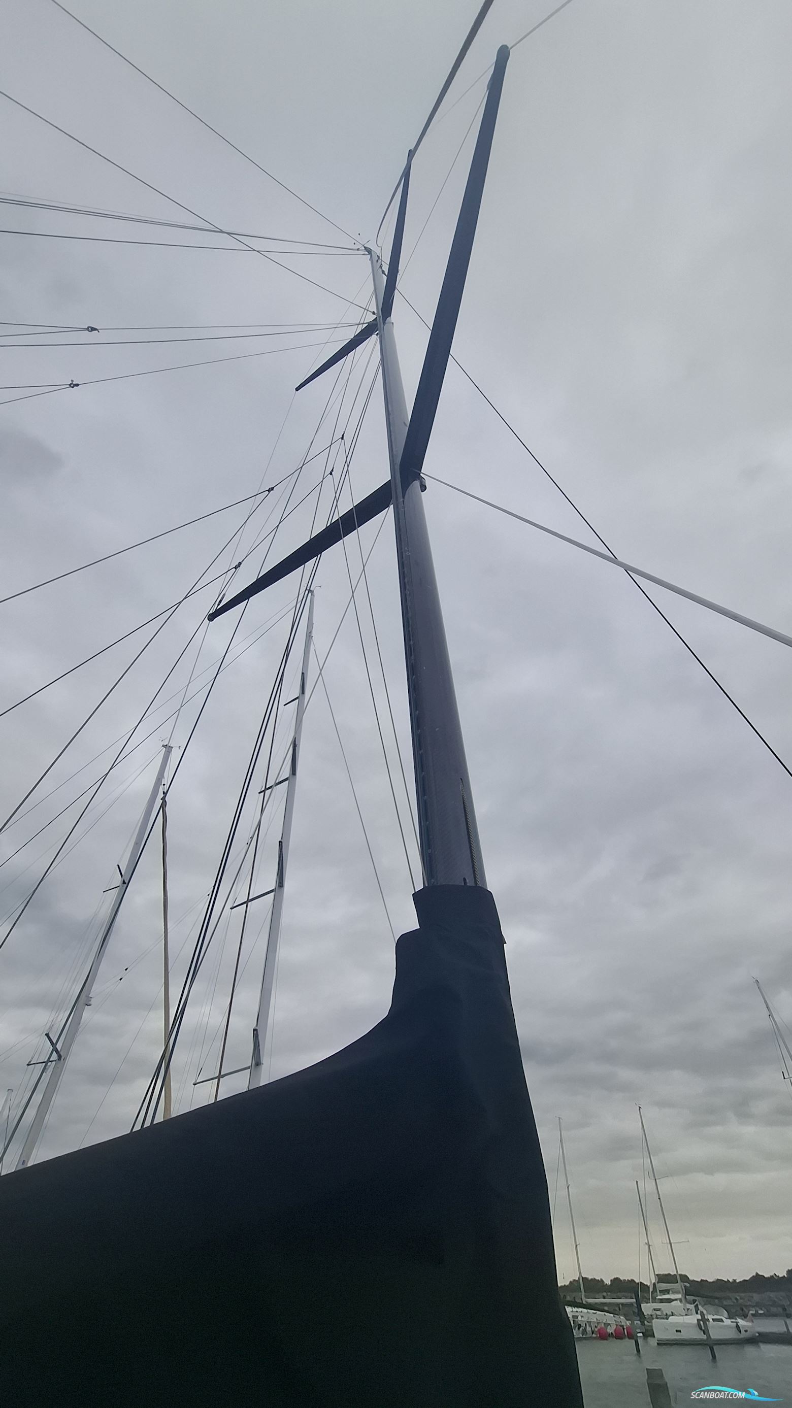 Lion Yachts Class 40