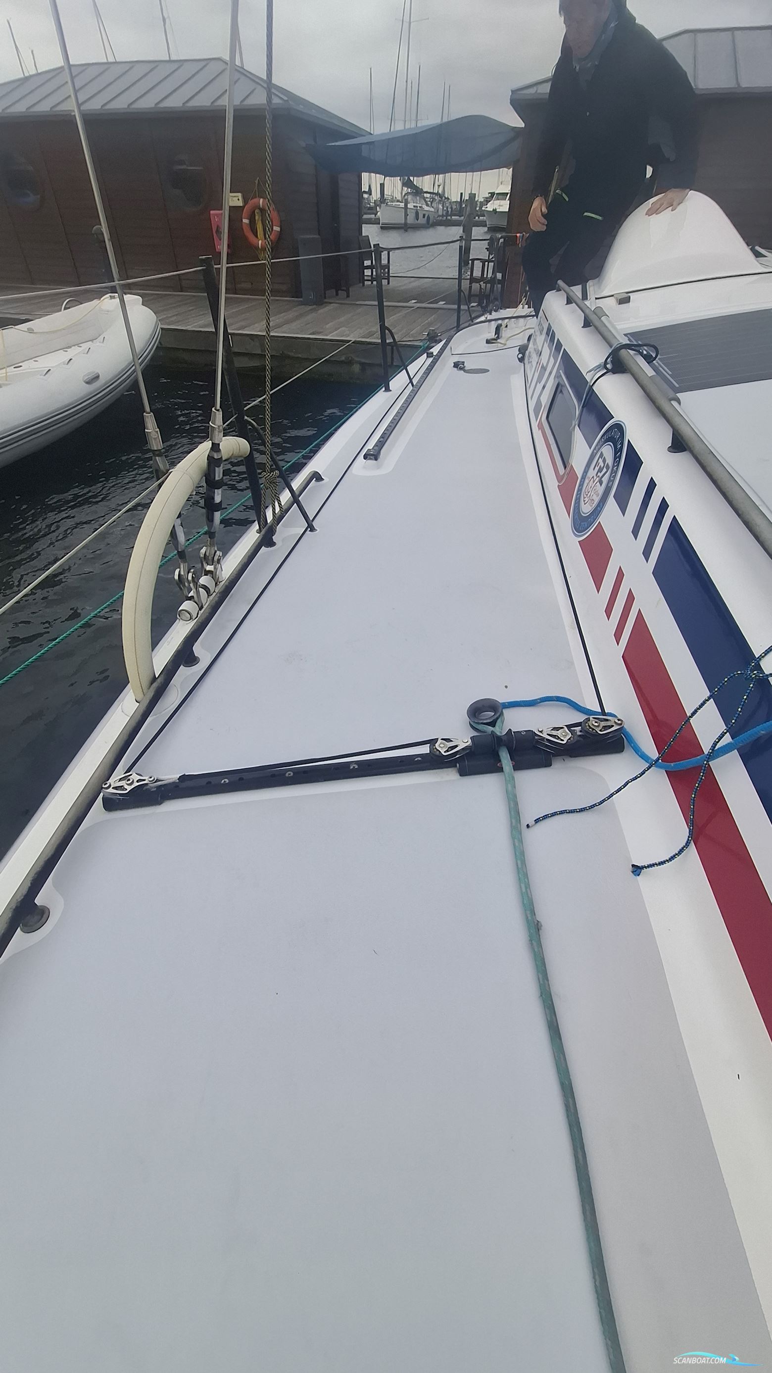 Lion Yachts Class 40