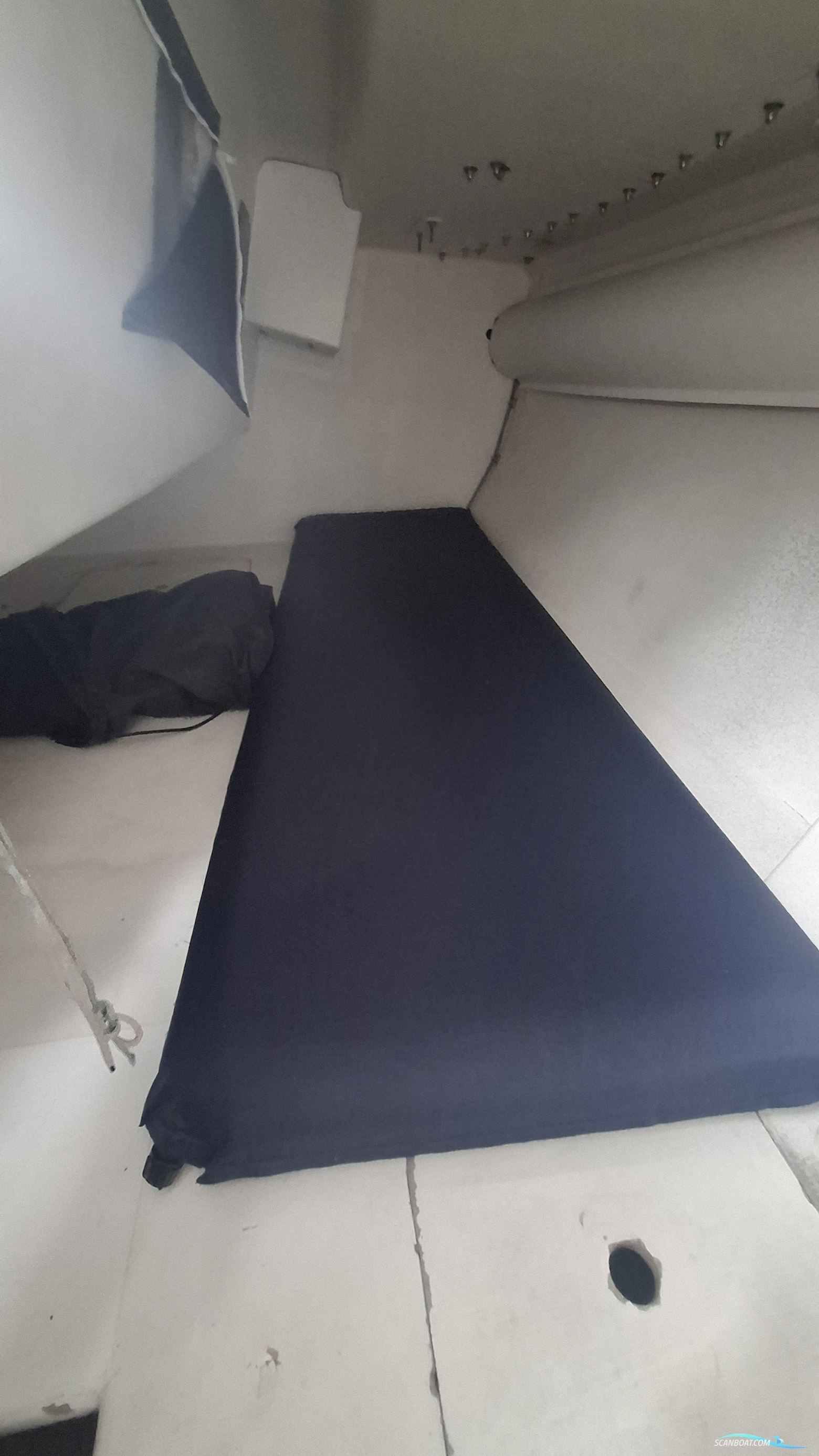 Lion Yachts Class 40