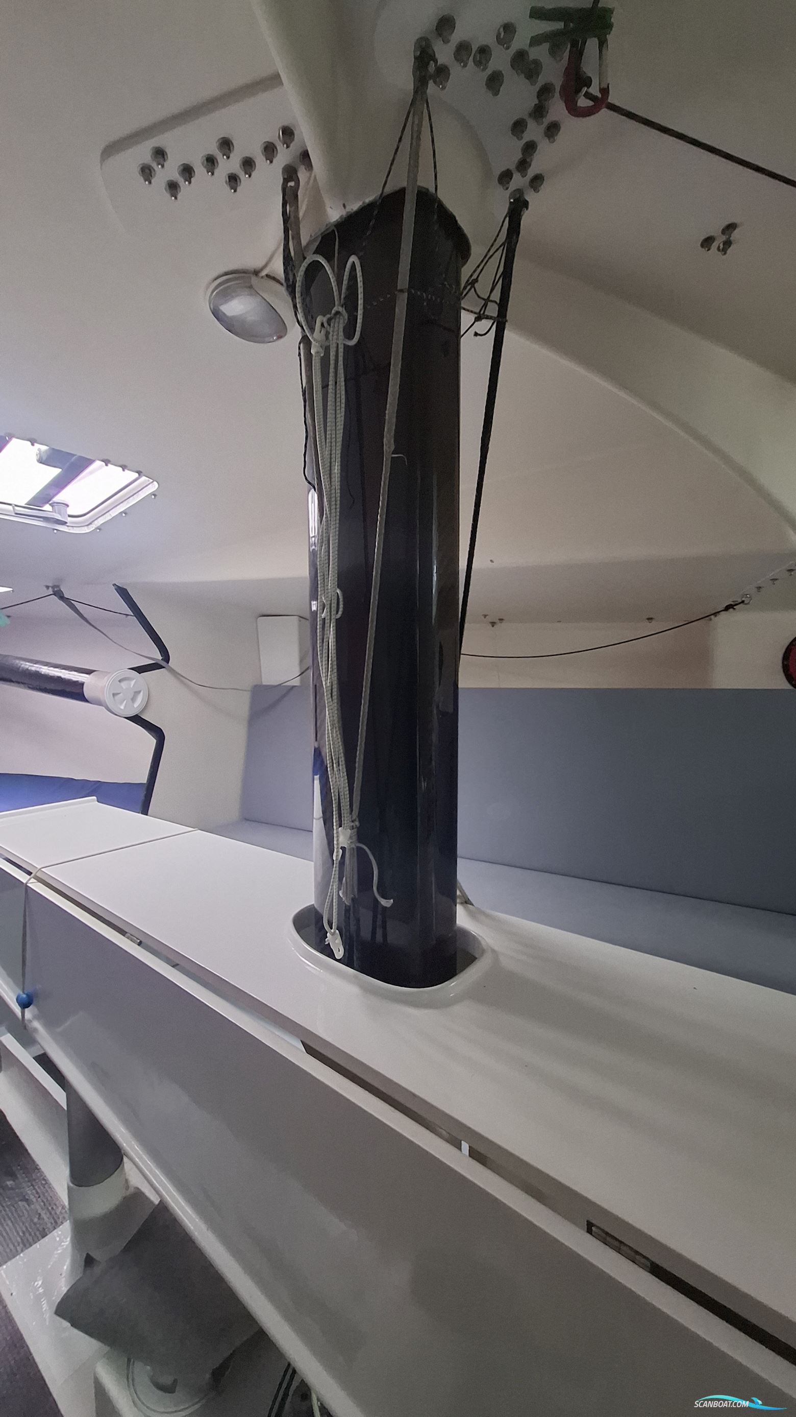 Lion Yachts Class 40