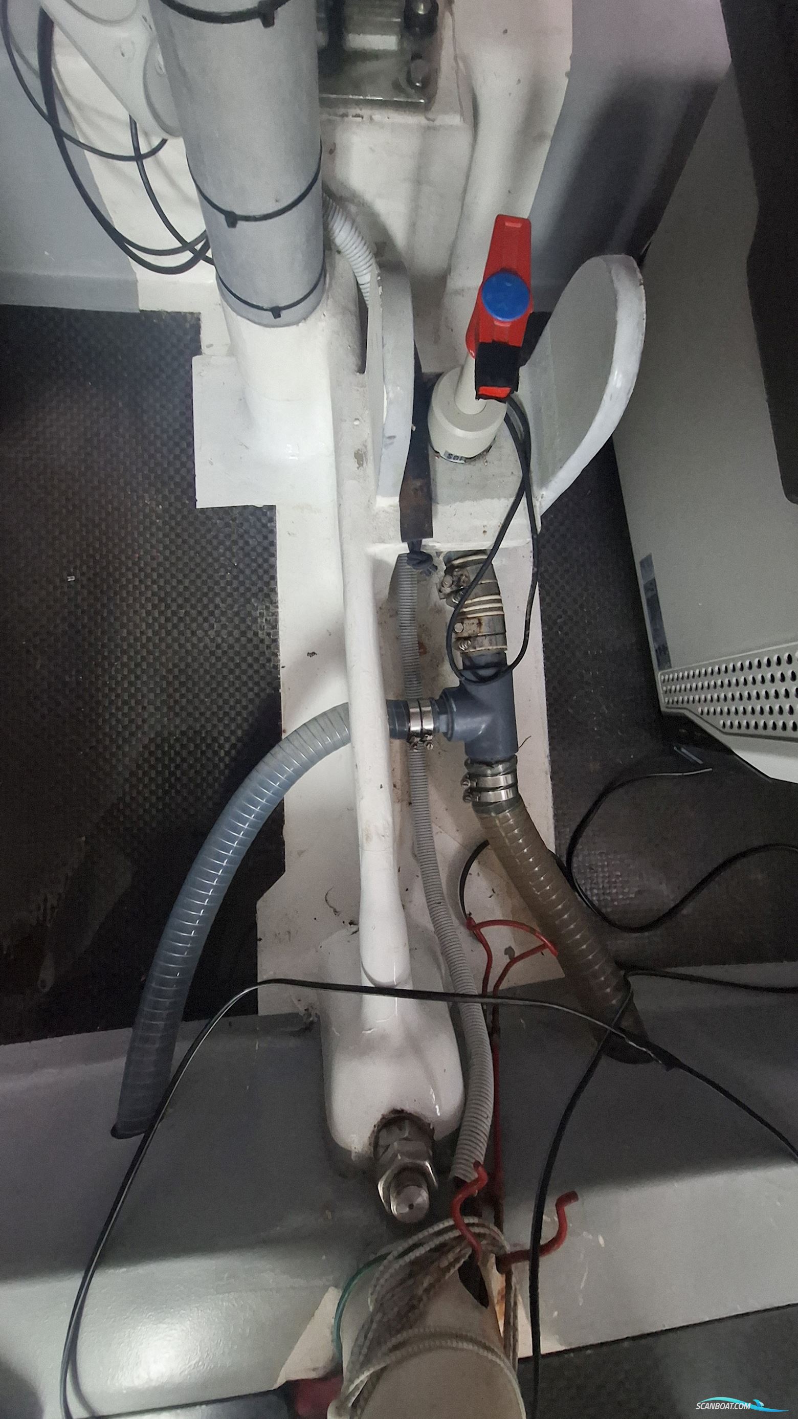 Lion Yachts Class 40