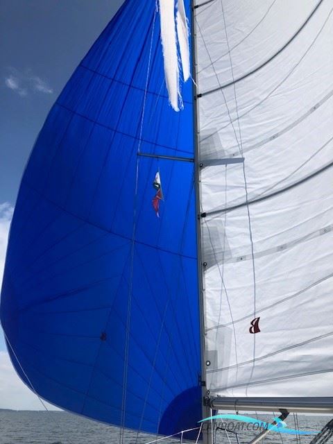LM Mermaid 290