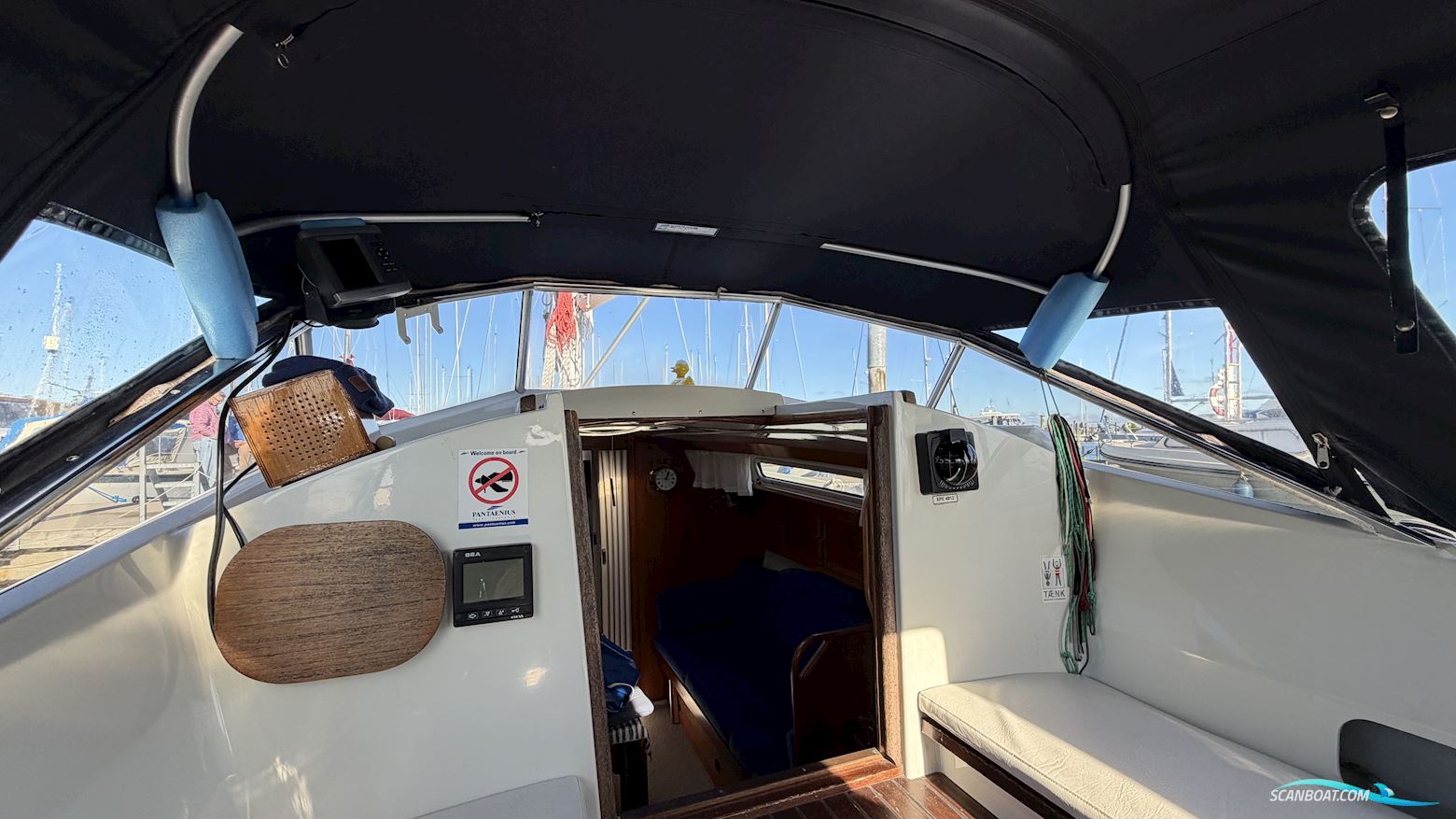 LM Mermaid 290