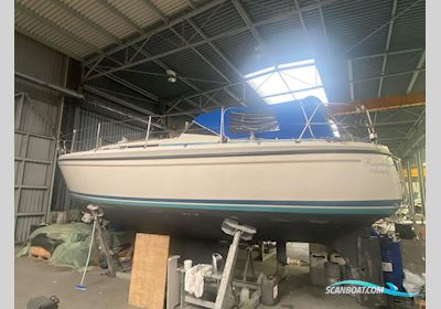 LM Mermaid 315 Segelbåt 1984, med Buch DV 20 motor, Danmark