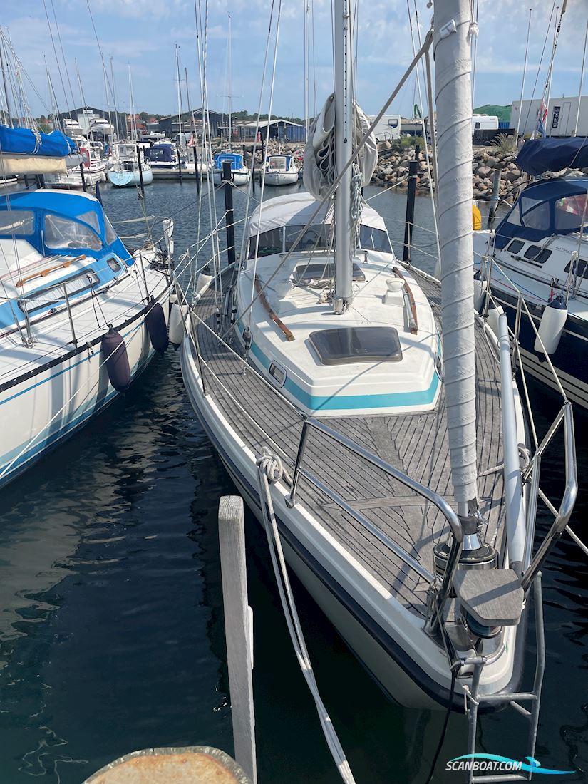 LM Mermaid 315