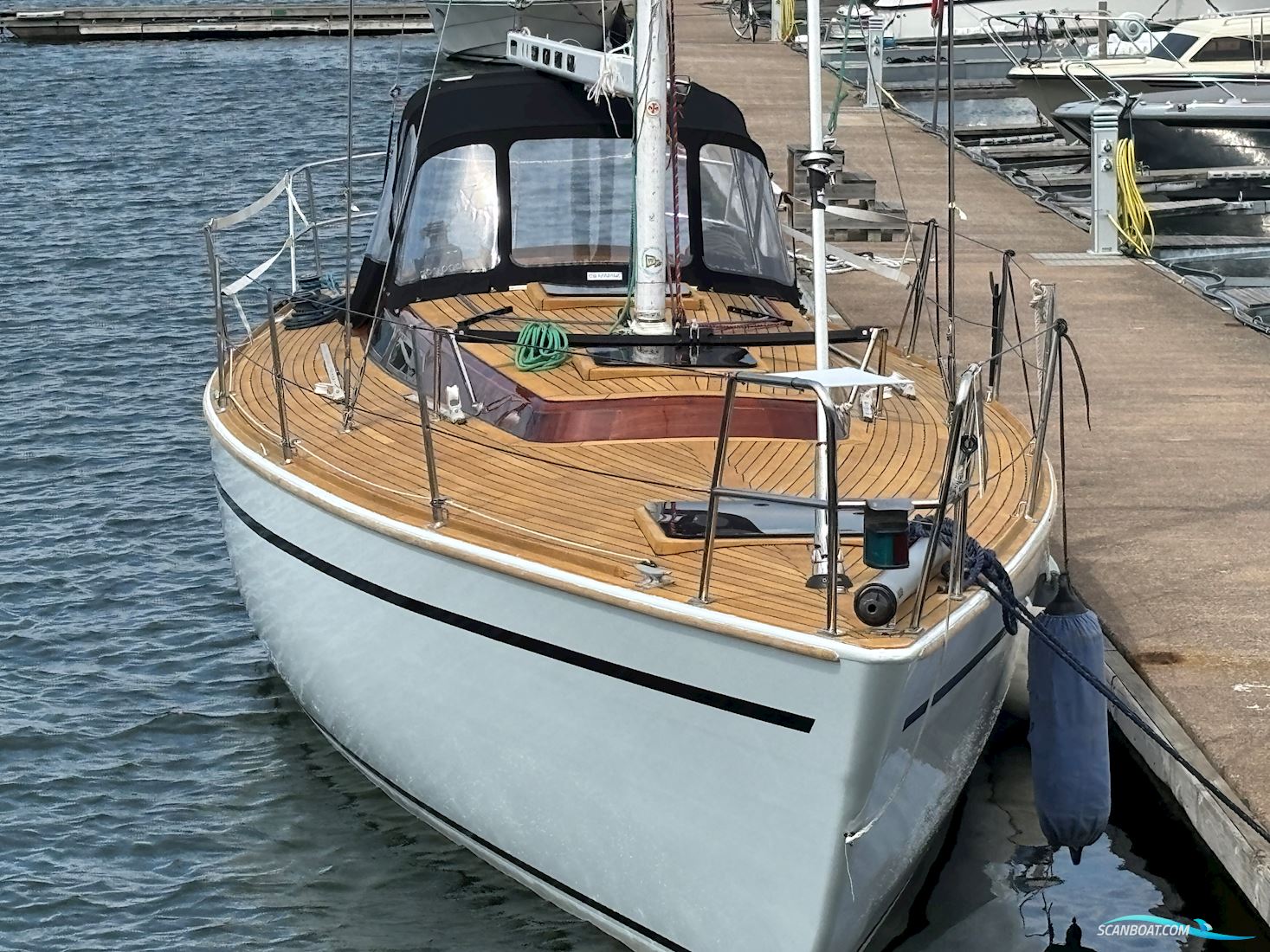 Luffe 44